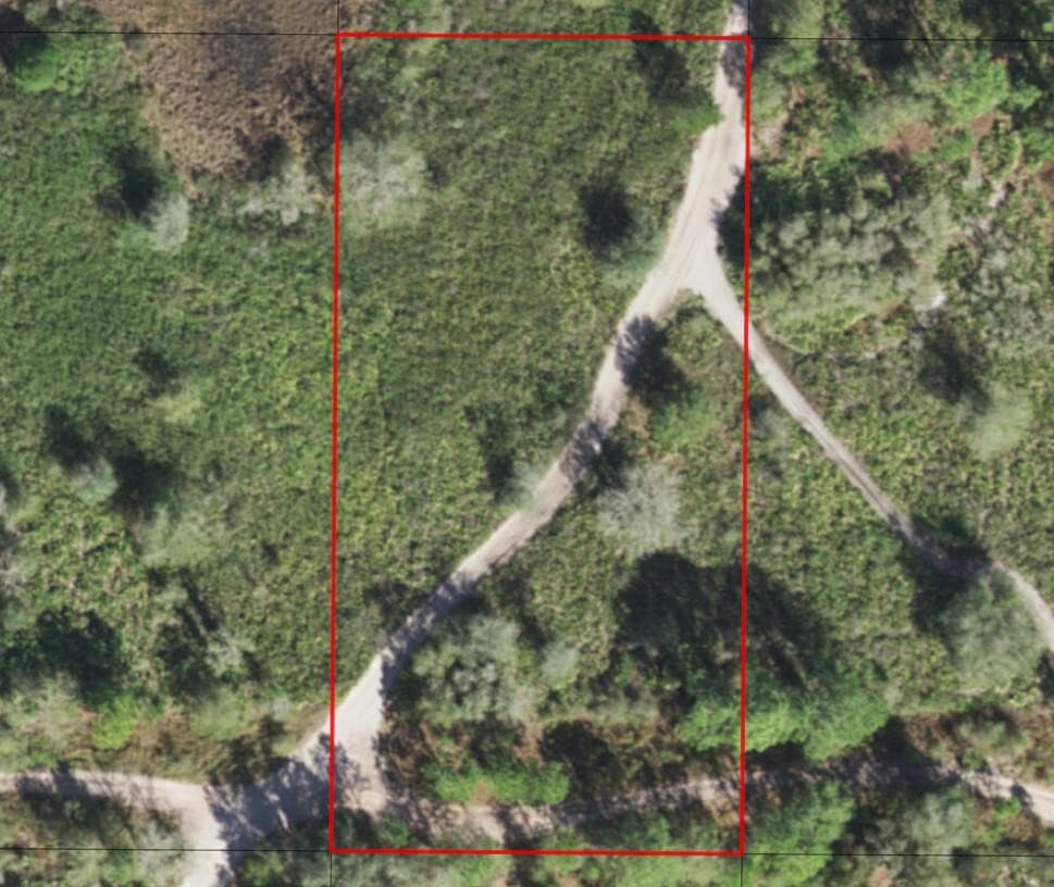 0 County Rd 54, Kathleen, FL 33849 — photo 3 of 3