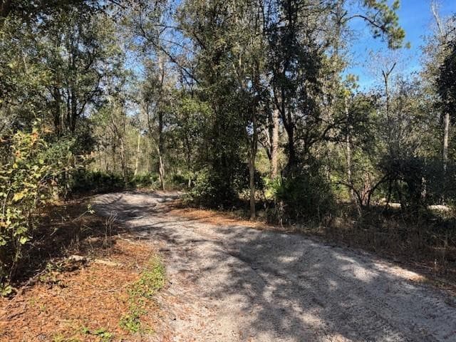 0 County Rd 54, Kathleen, FL 33849 — photo 3 of 4