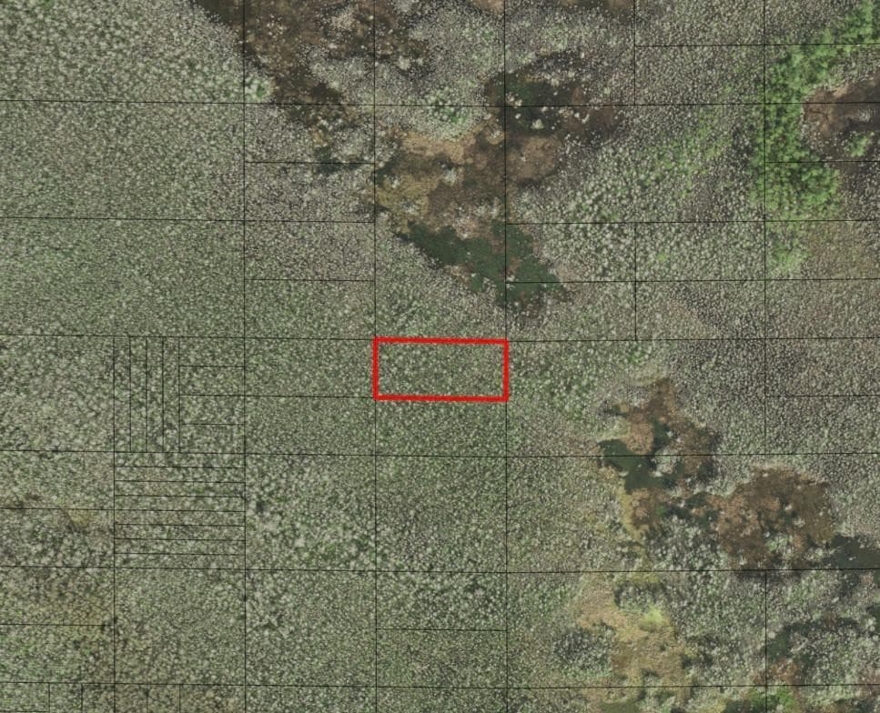 0 Holopaw Groves Road, St. Cloud, FL 34772 — photo 1 of 1