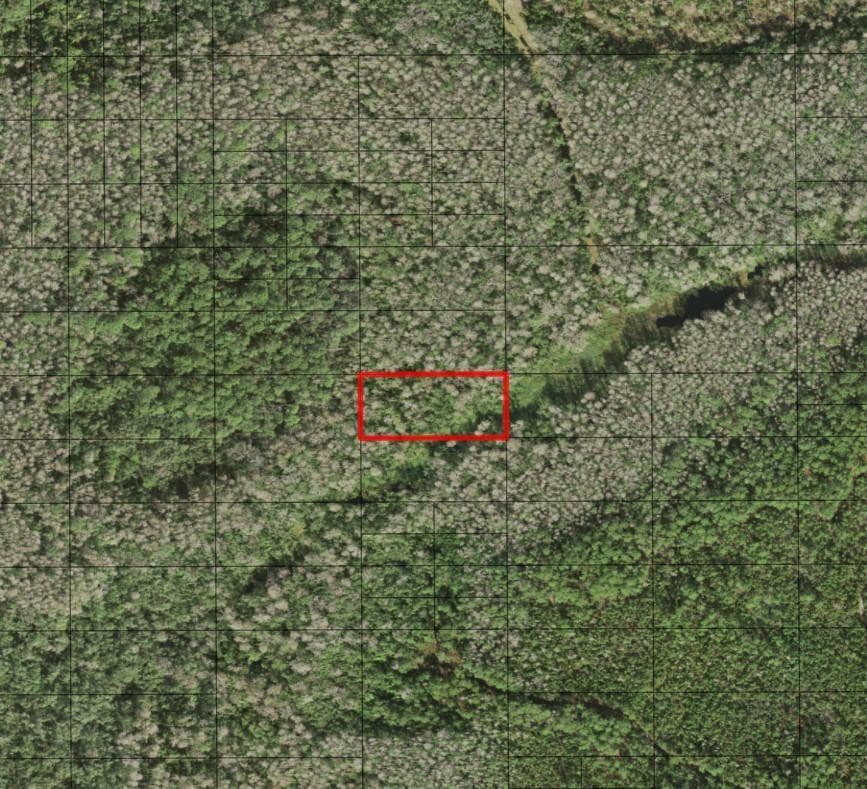 0 Holopaw Groves Road, St. Cloud, FL 34772 — photo 1 of 1