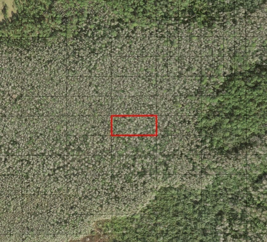 0 Holopaw Groves Road, St. Cloud, FL 34772 — photo 1 of 1