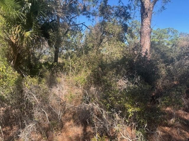 221 Rainbow Drive, Lake Placid, FL 33852 — photo