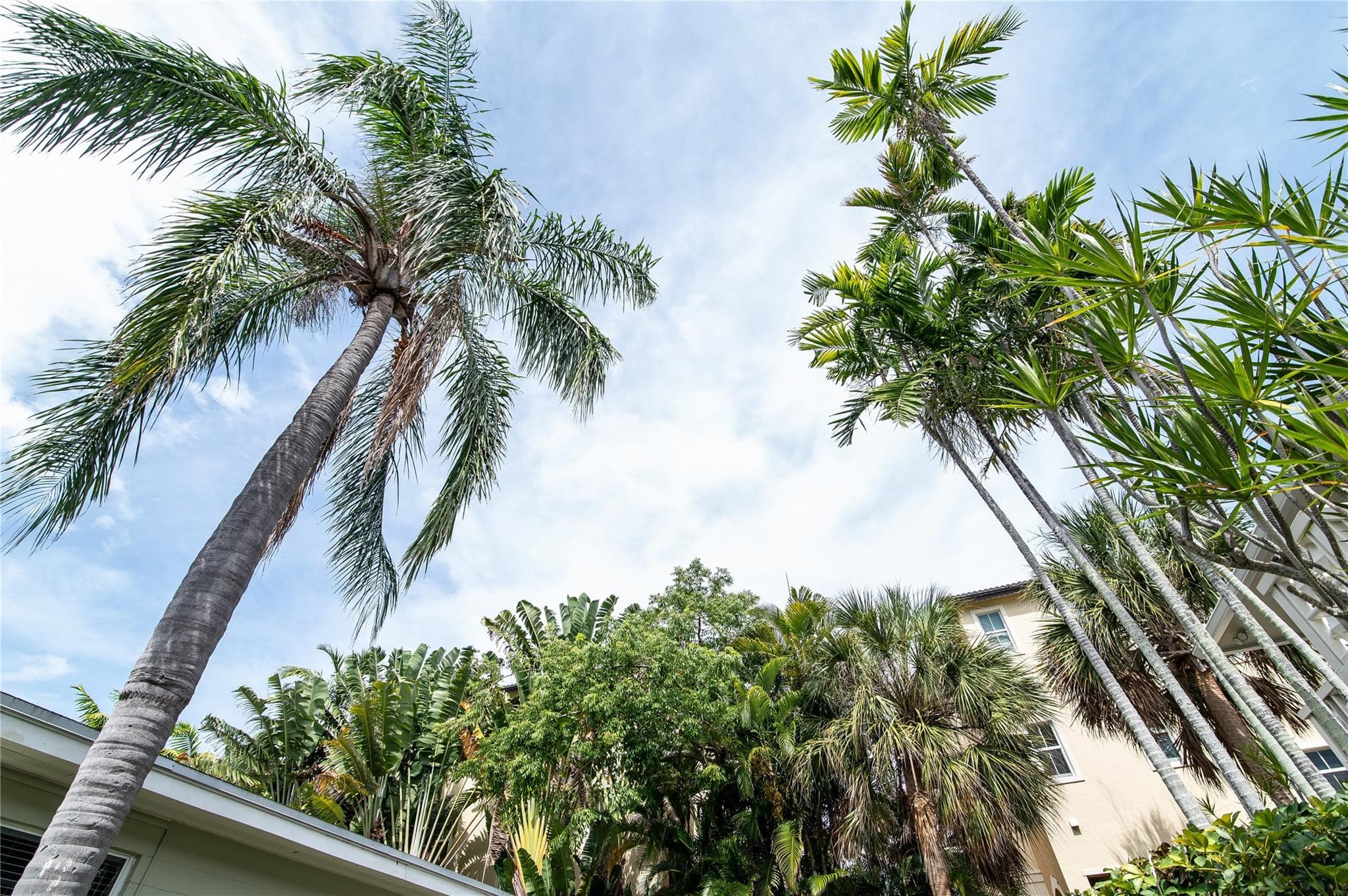 3230 NE 13th Street 203, Pompano Beach, FL 33062 — photo 8 of 11
