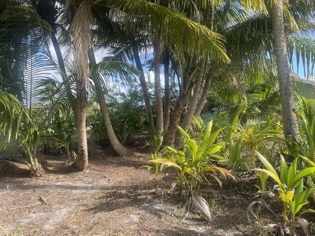 4656 Lillian Avenue, Palm Beach Gardens, FL 33418 — photo 21 of 25