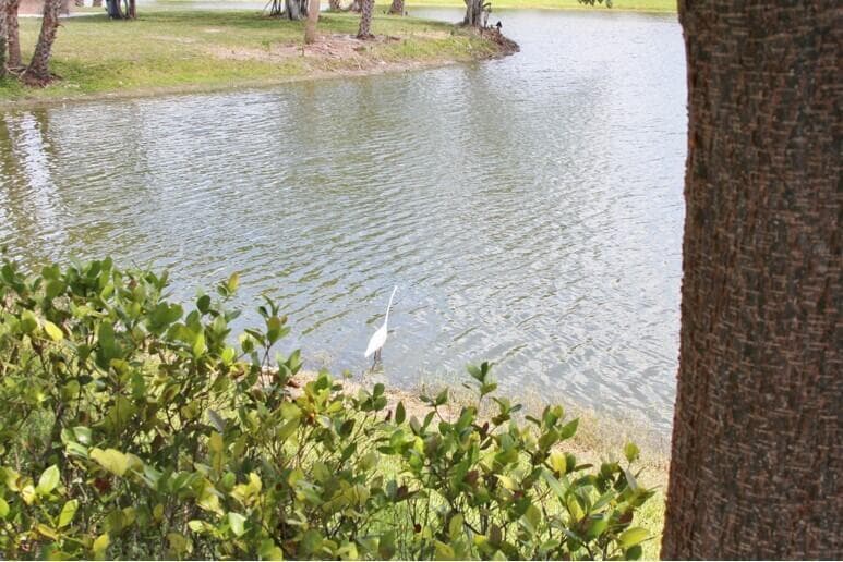 259 Sheffield K 259, West Palm Beach, FL 33417 — photo 25 of 34