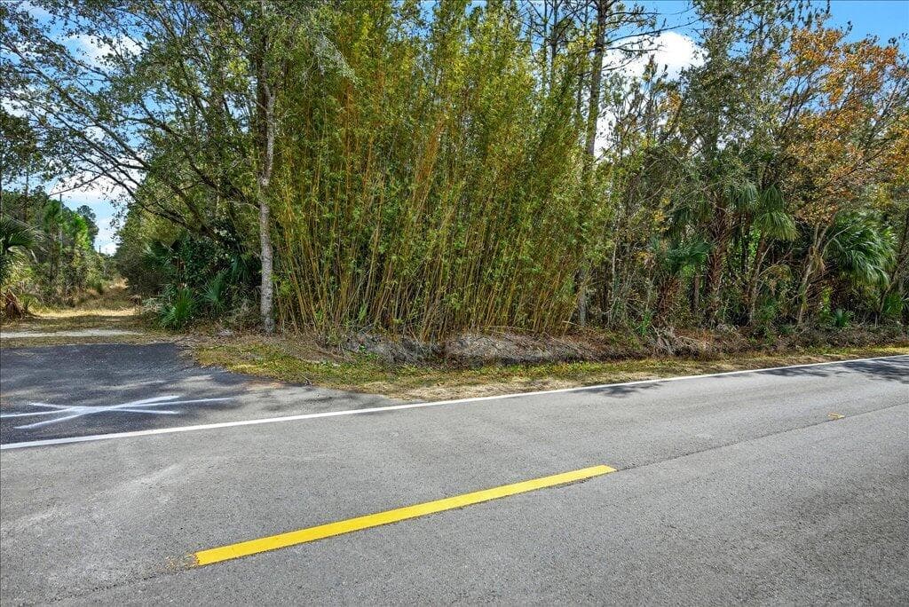 0 Old Haw Creek Road, Bunnell, FL 32110 — photo 25 of 25