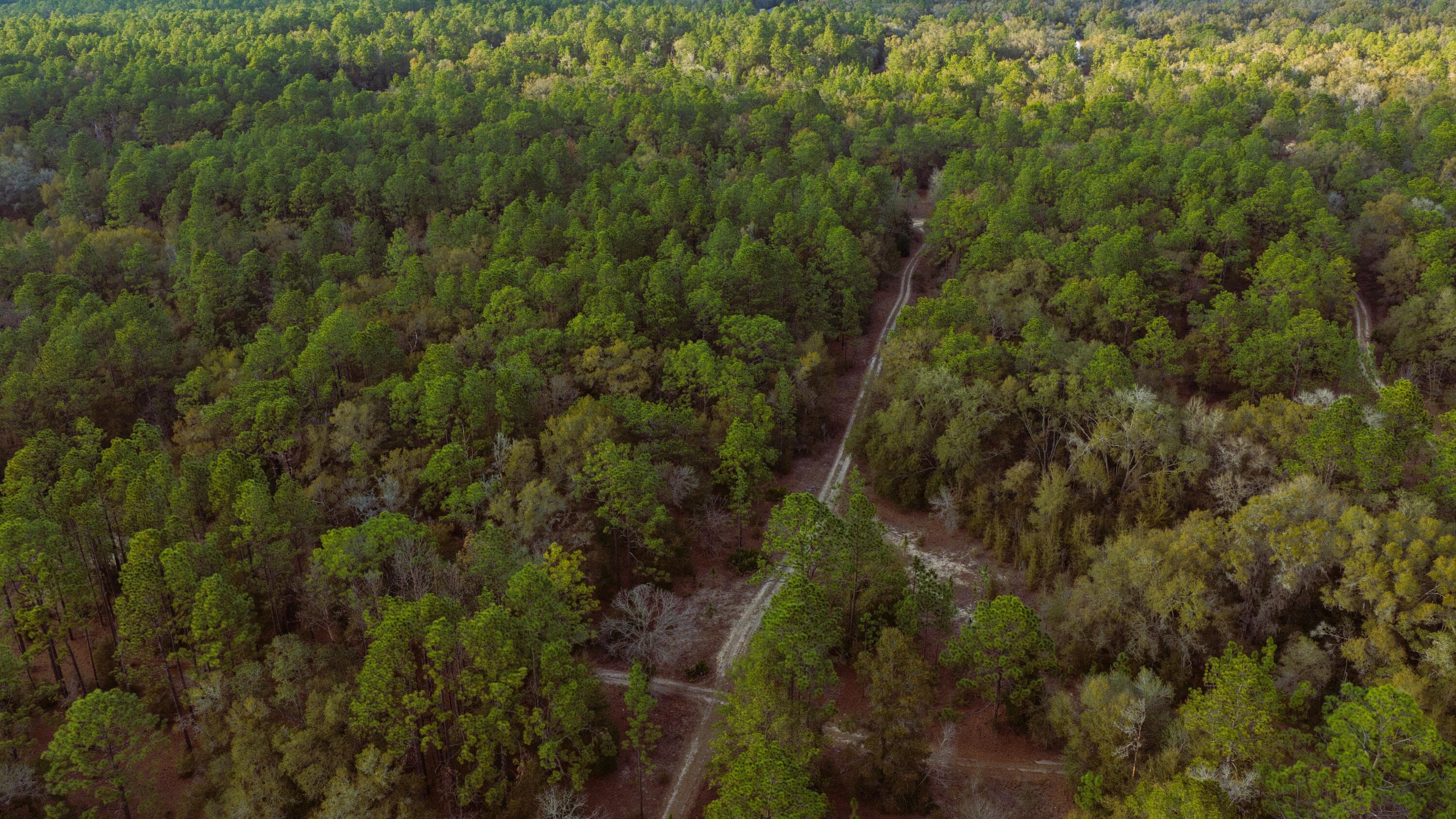0 SW 152 Terrace, Ocala, FL 34481 — photo 9 of 14