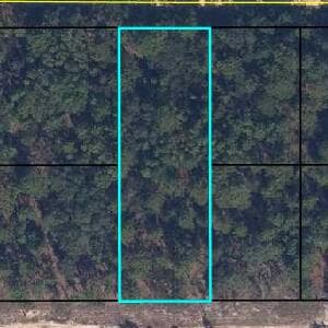 6183 Juilliard Avenue, Keystone Heights, FL 32656 — photo