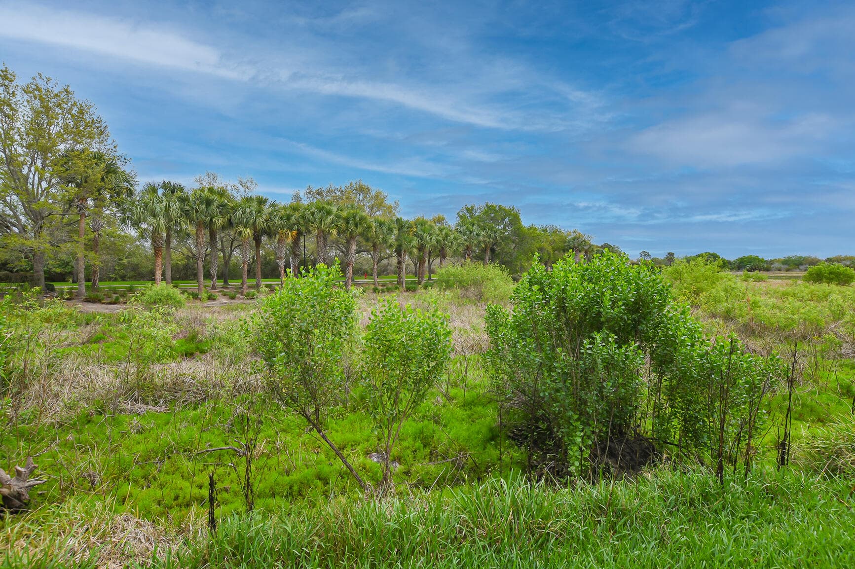 10743 SW Hartwick Drive, Port St. Lucie, FL 34987 — photo 35 of 50