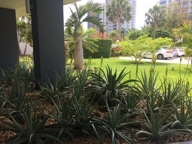 2840 N Ocean Boulevard 507, Fort Lauderdale, FL 33308 — photo 27 of 42
