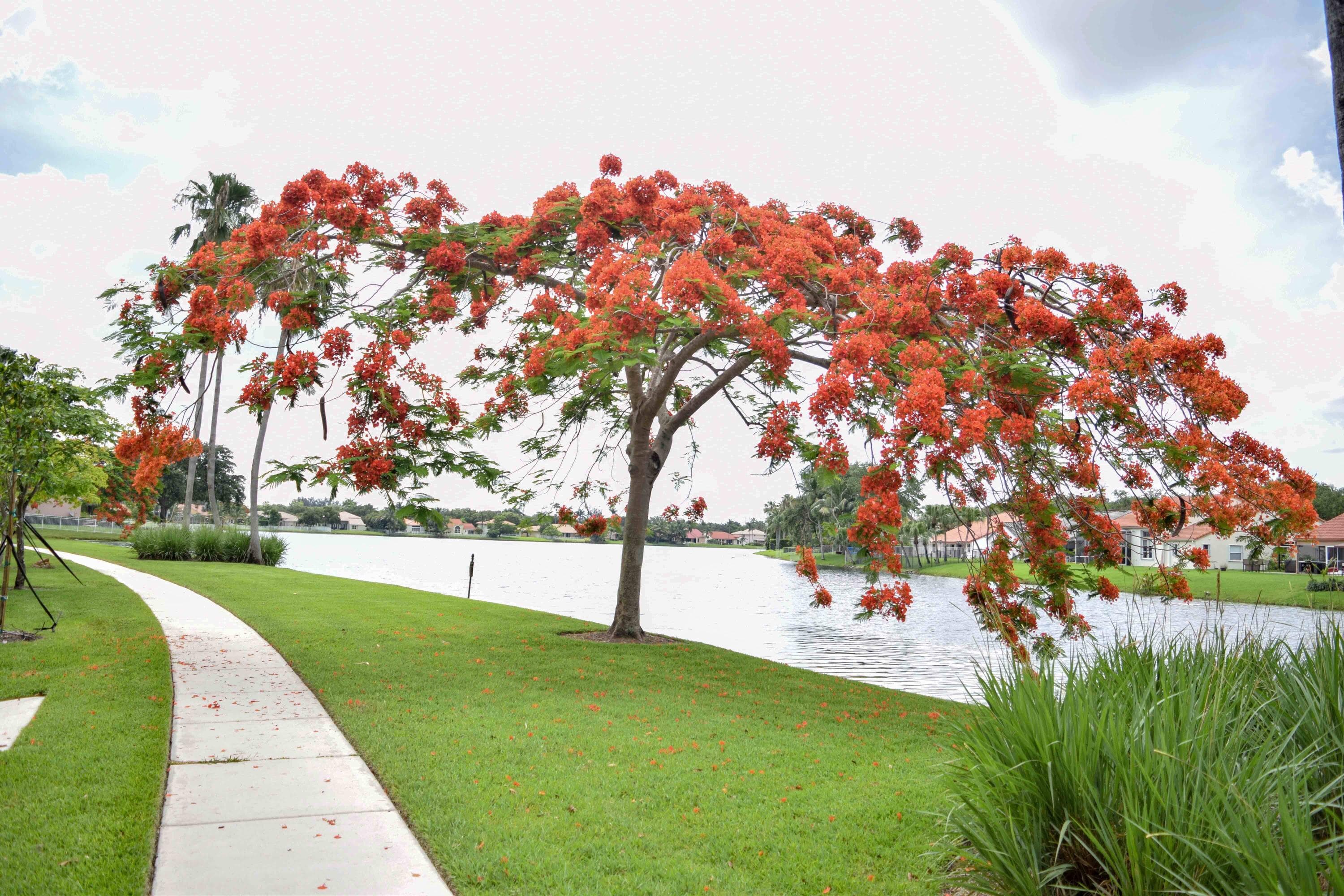 11077 Longboat Drive, Cooper City, FL 33026 — photo 15 of 16