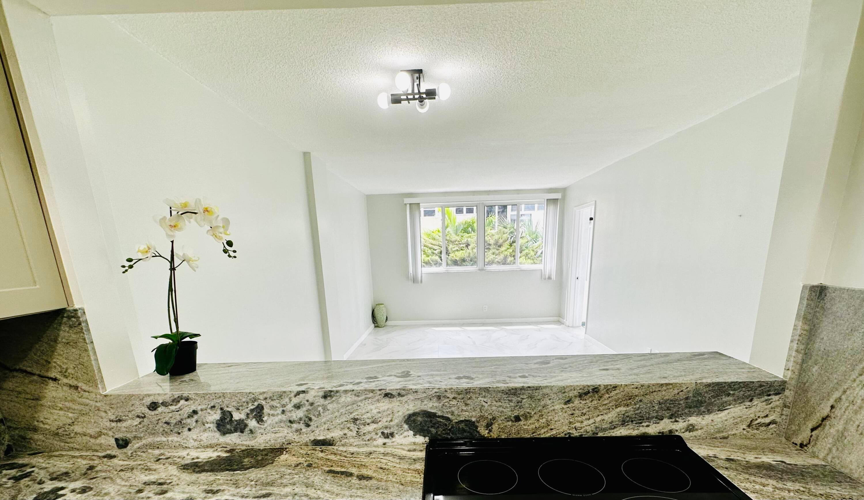1333 E Hallandale Beach Boulevard 302, Hallandale Beach, FL 33009 — photo 11 of 34