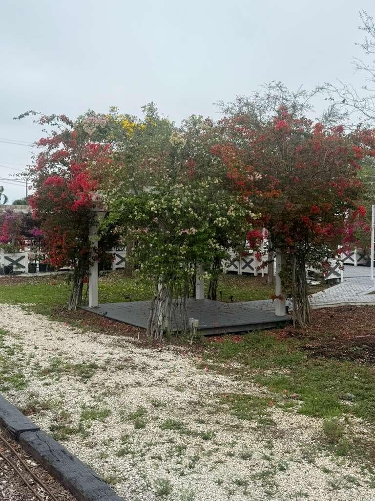 4680 SW 148th Avenue, Southwest Ranches, FL 33331 — photo 15 of 15