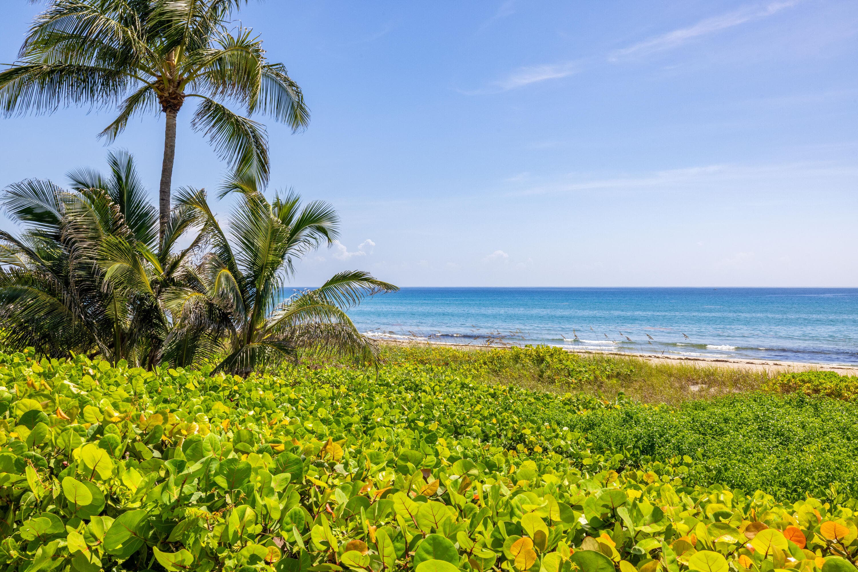 246 NE 14th Street, Delray Beach, FL 33444 — photo 1 of 60