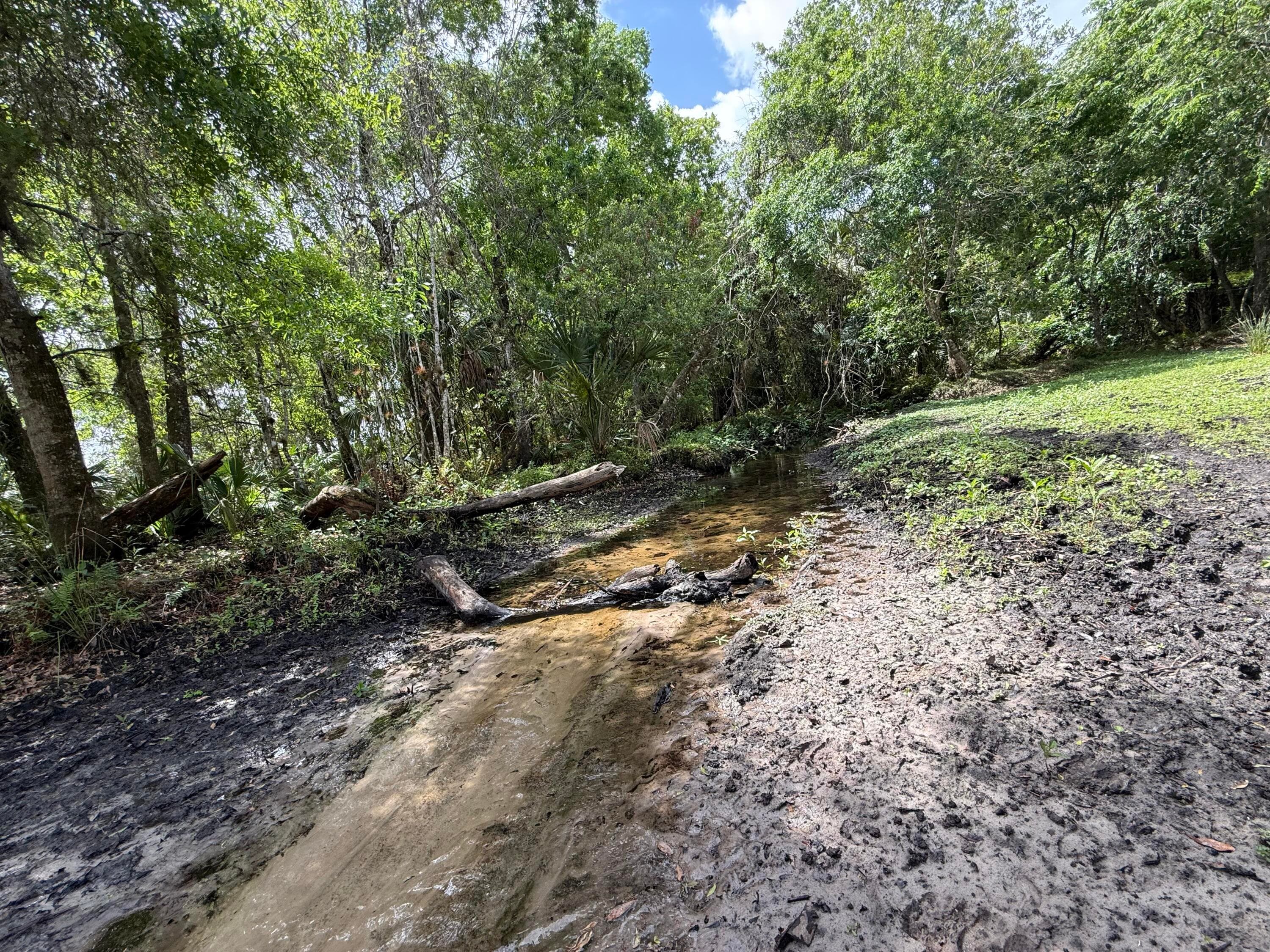 33700 Hwy 441, Okeechobee, FL 34972 — photo 63 of 81