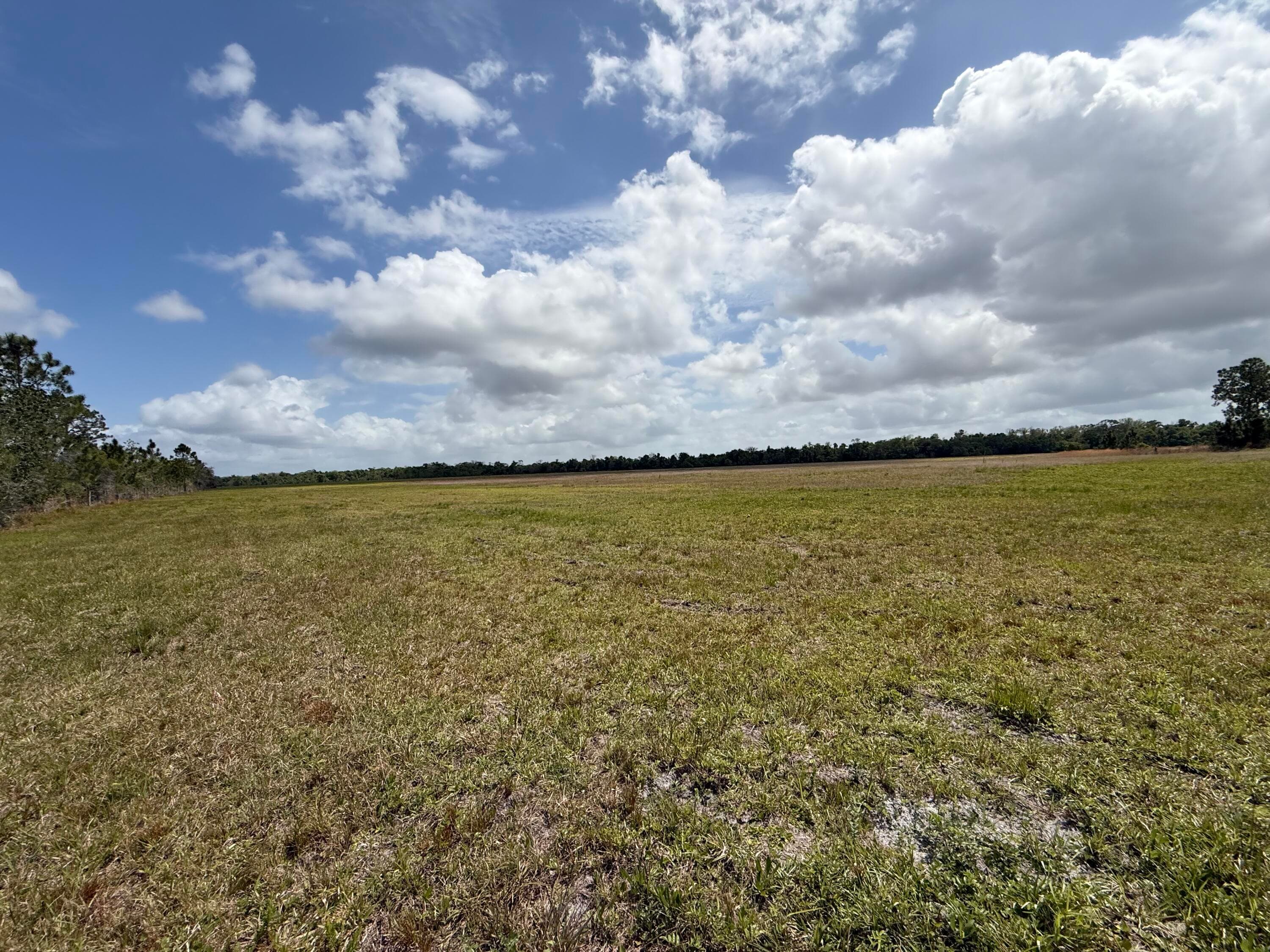 33700 Hwy 441, Okeechobee, FL 34972 — photo 69 of 81