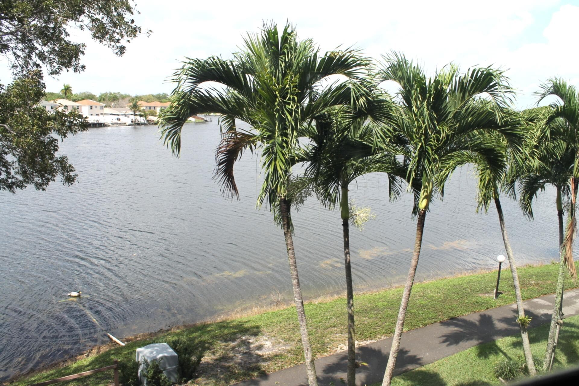 1100 Colony Point Circle 314, Pembroke Pines, FL 33026 — photo 2 of 35