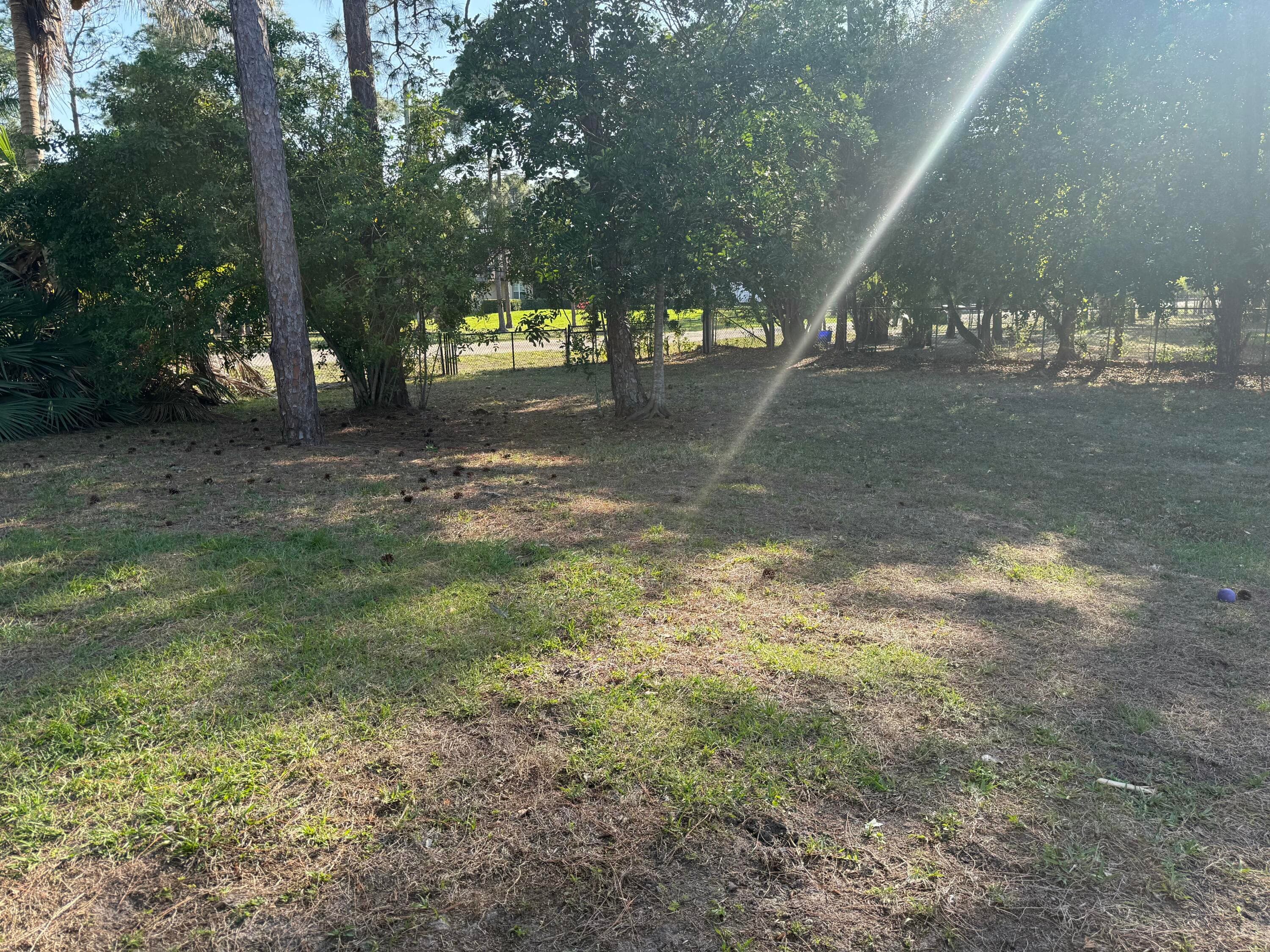 15515 N 94th St Street N, The Acreage, FL 33412 — photo 25 of 61