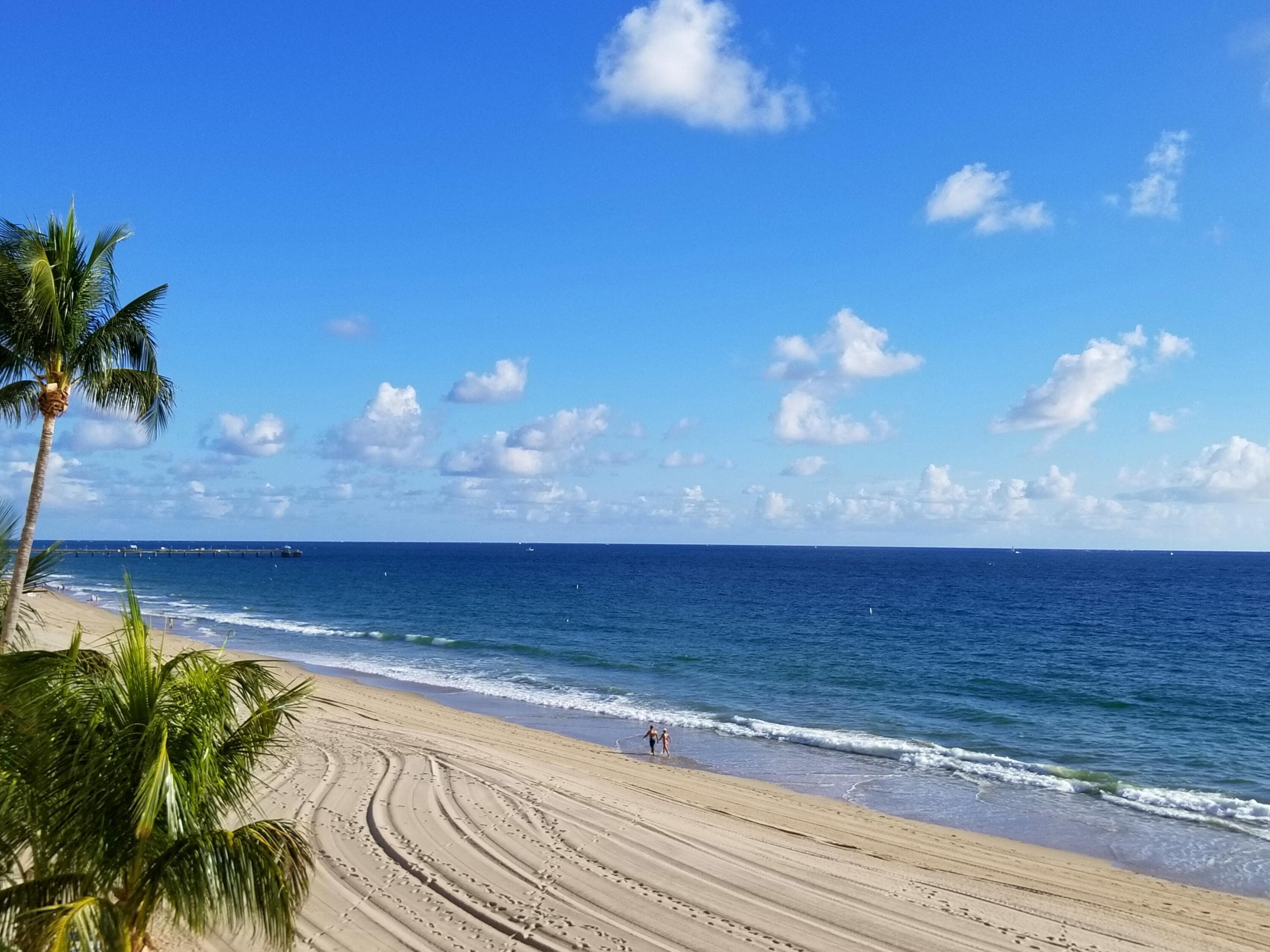 4280 Galt Ocean Drive 8 L, Fort Lauderdale, FL 33308 — photo 1 of 36