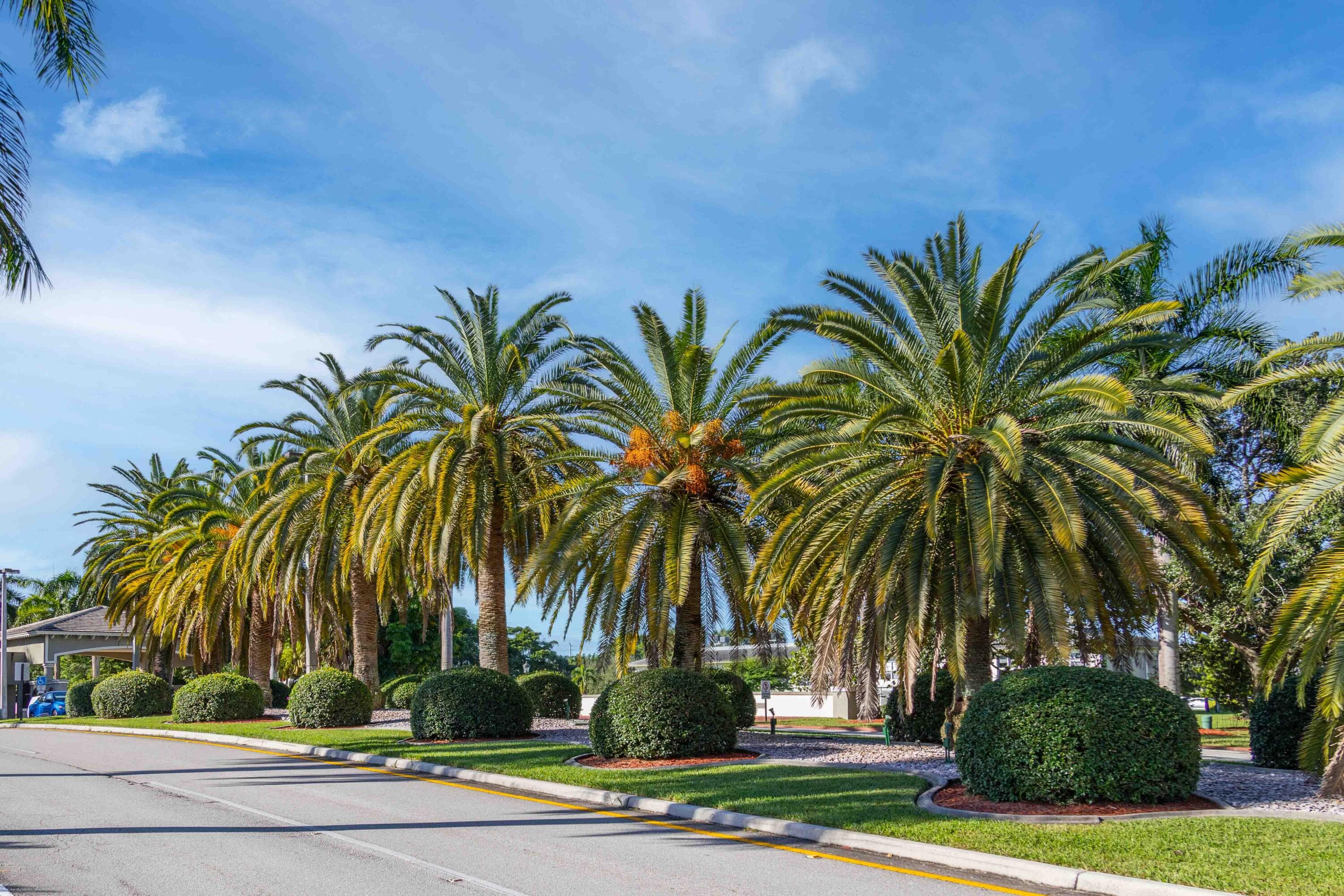 3306 Aruba Way E3, Coconut Creek, FL 33066 — photo 50 of 52