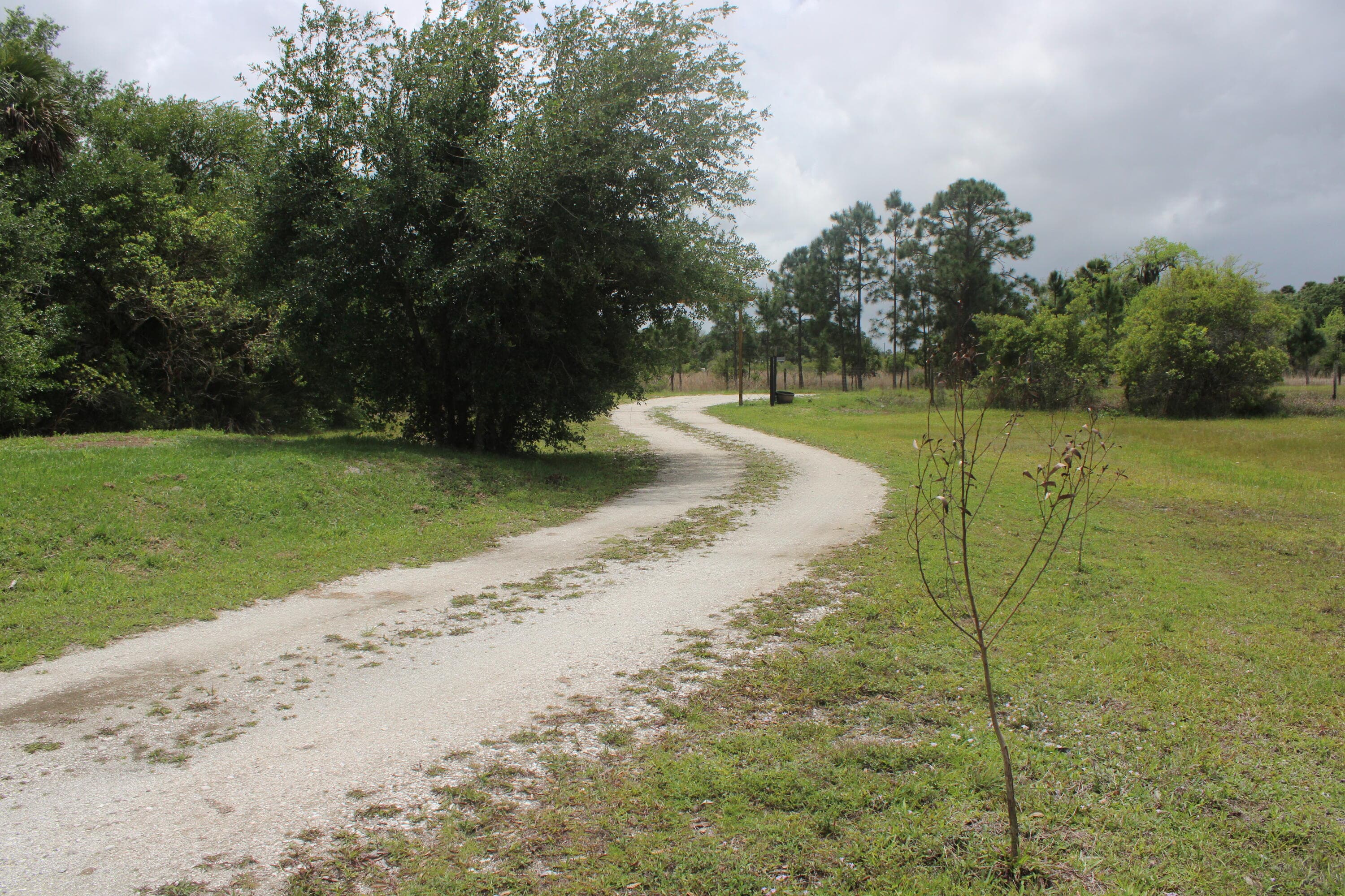 15367 NW 296th Street, Okeechobee, FL 34972 — photo 4 of 18