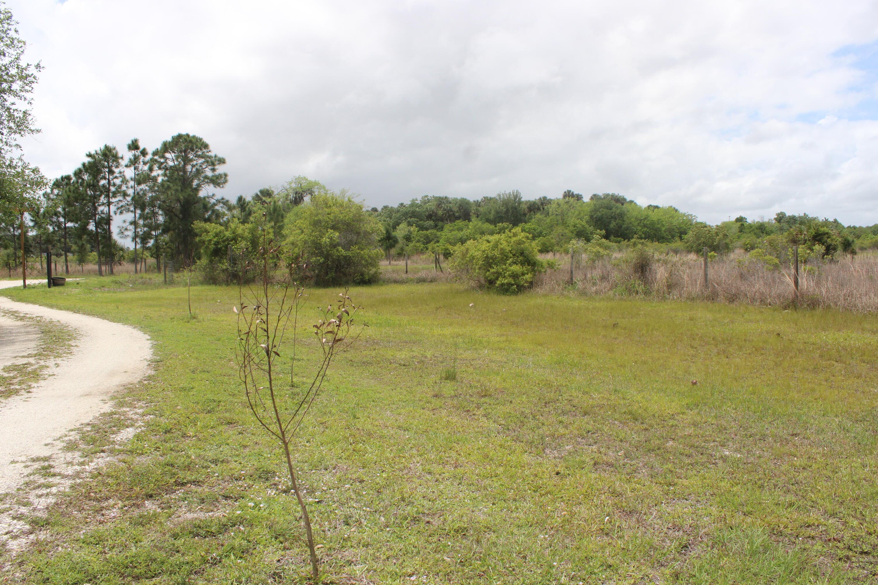 15367 NW 296th Street, Okeechobee, FL 34972 — photo 5 of 18