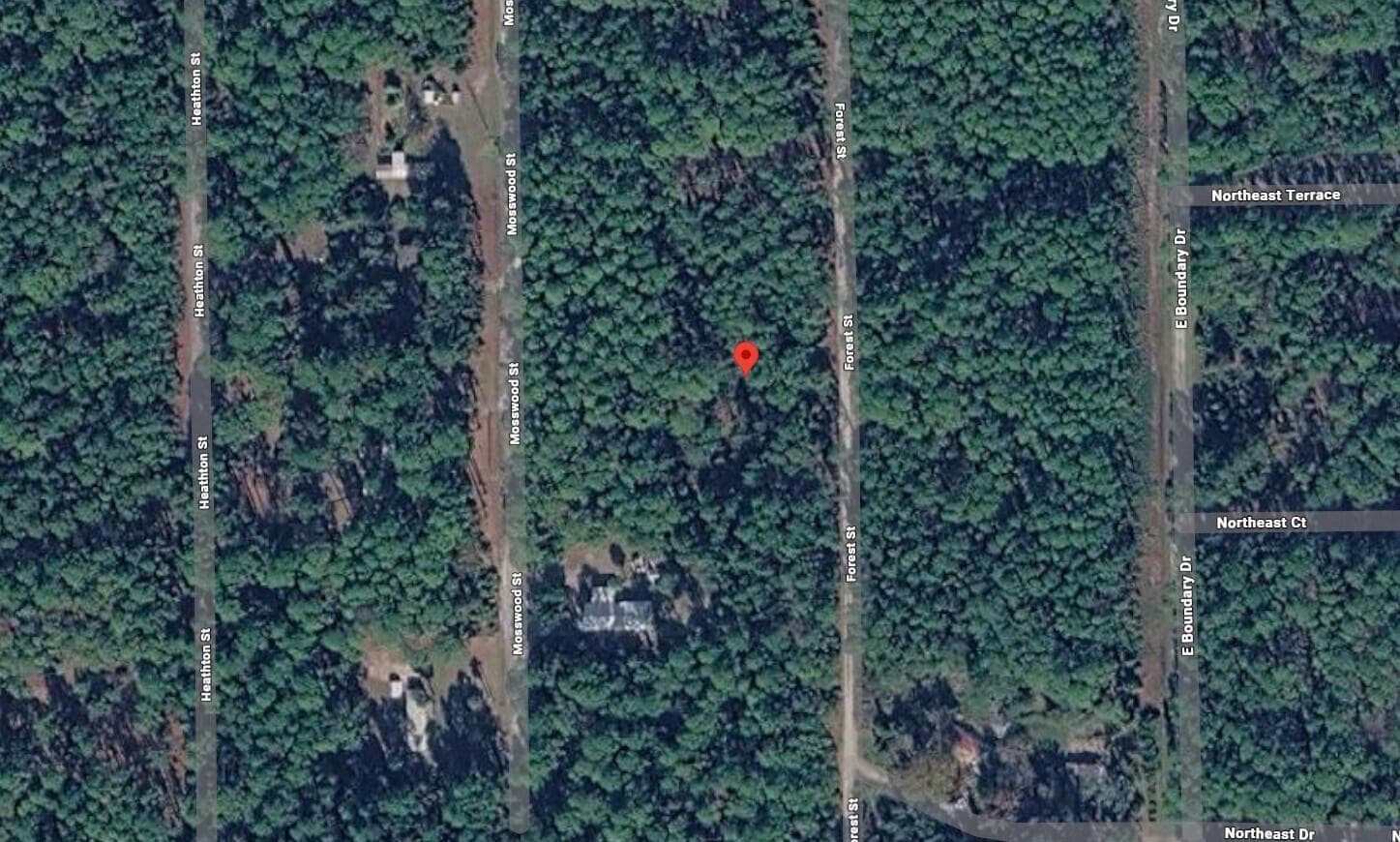 143 Forest Street, Georgetown, FL 32139 — photo