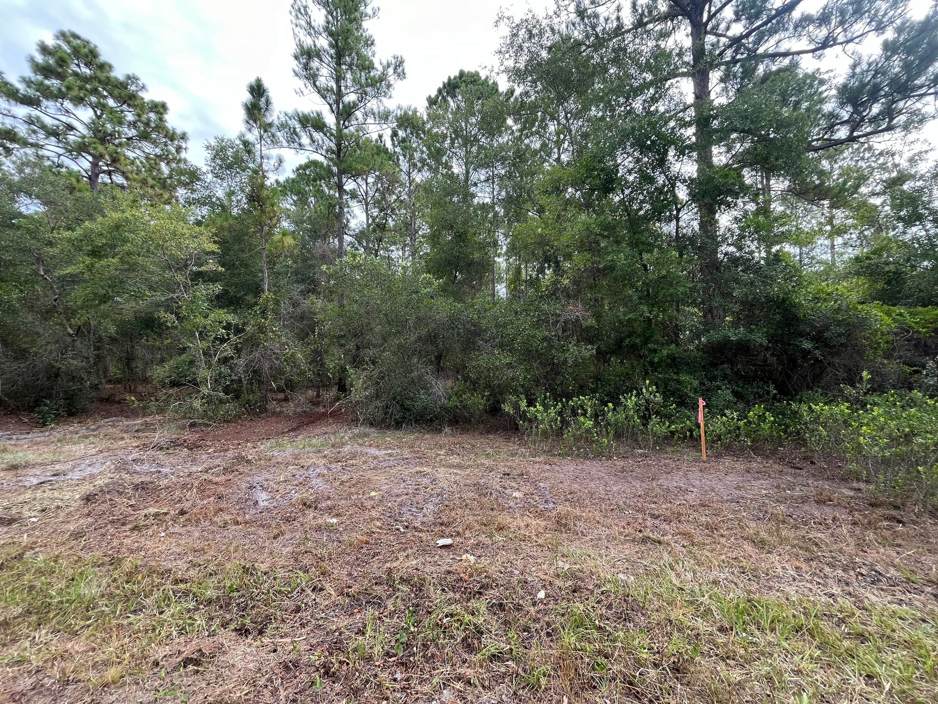 122 Glenside Street, Georgetown, FL 32139 — photo 8 of 9