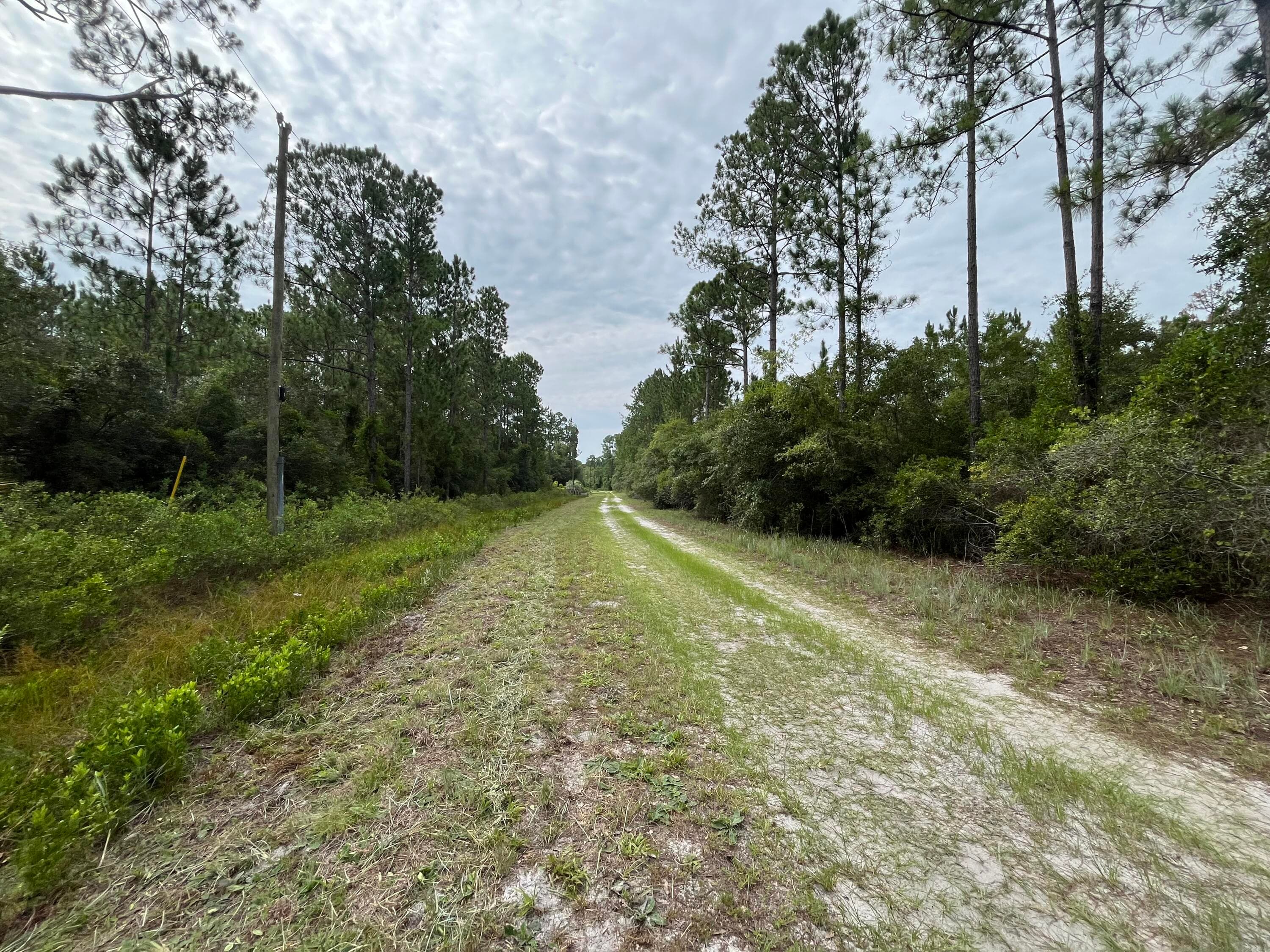 122 Glenside Street, Georgetown, FL 32139 — photo 9 of 9