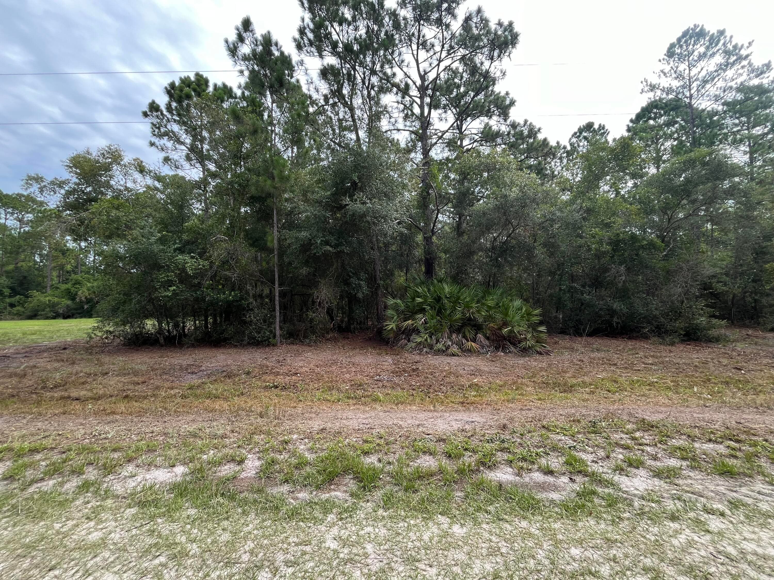 124 Glenside Street, Georgetown, FL 32139 — photo