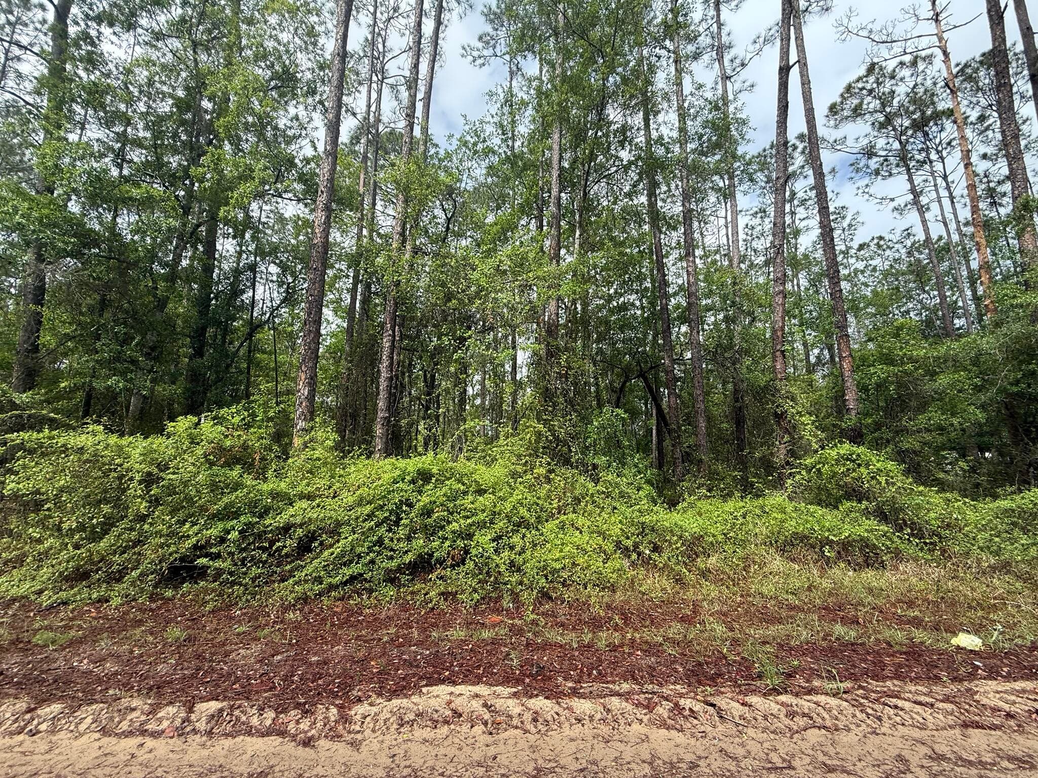 Tbd Seminole Avenue, Interlachen, FL 32148 — photo 2 of 10