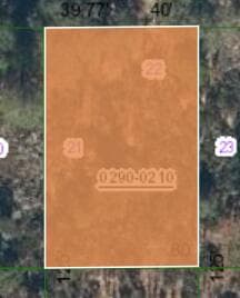 000 Unassigned Location, Interlachen, FL 32148 — photo 2 of 4