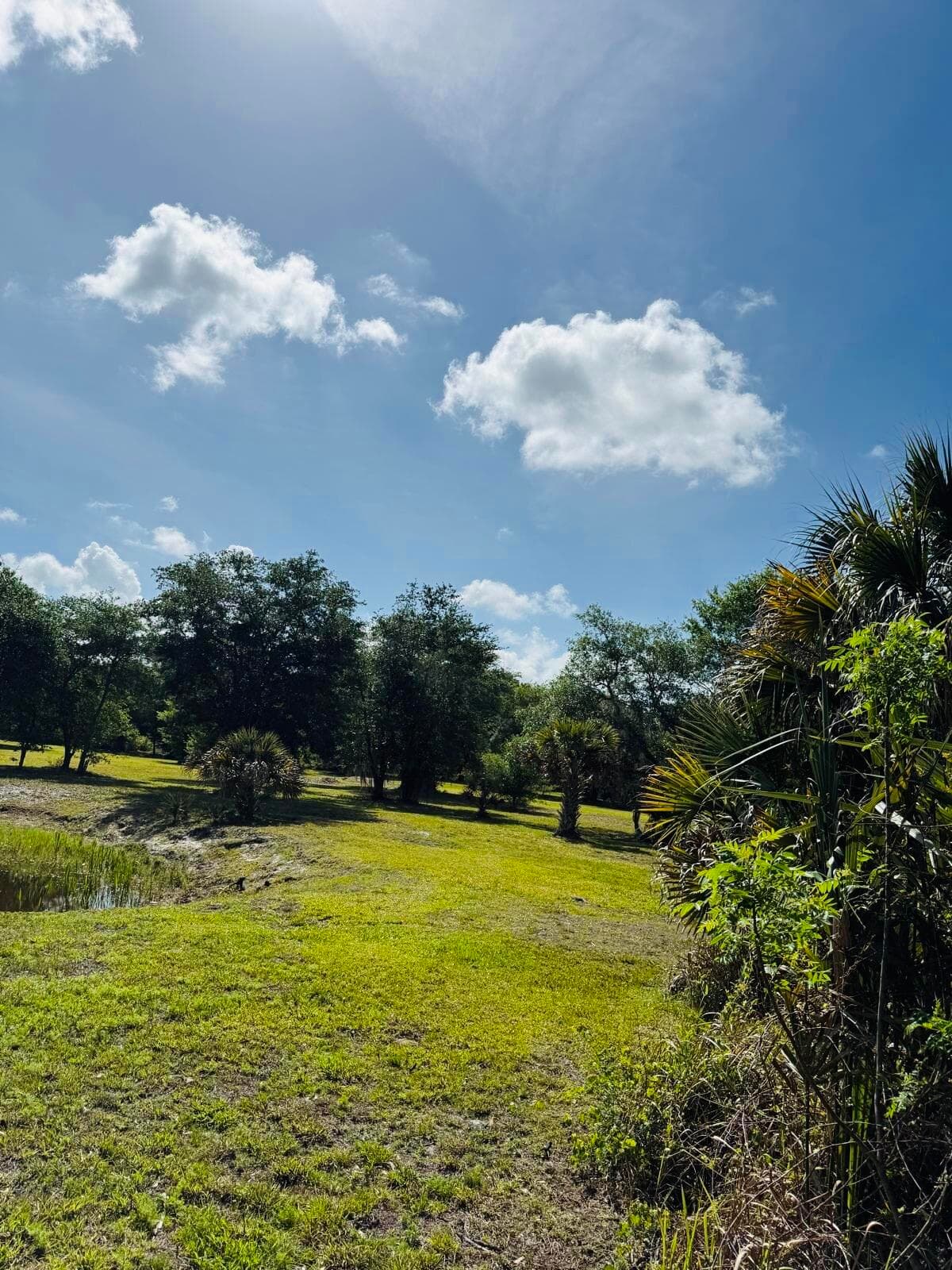 19636 NW 272nd Street, Okeechobee, FL 34972 — photo 15 of 17