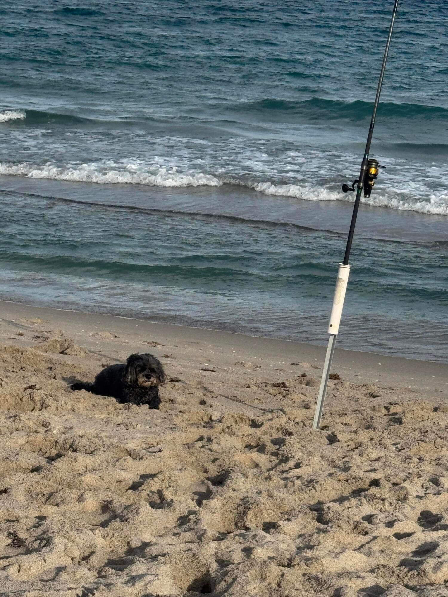 1041 Hillsboro Mile Hillsboro Mile 18, Hillsboro Beach, FL 33062 — photo 7 of 19