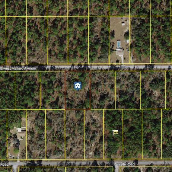 00000 NW Mallard Avenue, Dunnellon, FL 34431 — photo 2 of 3