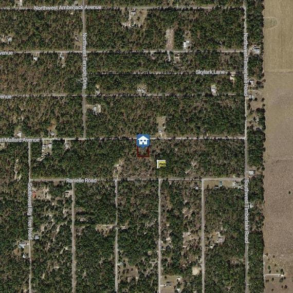 00000 NW Mallard Avenue, Dunnellon, FL 34431 — photo 3 of 3
