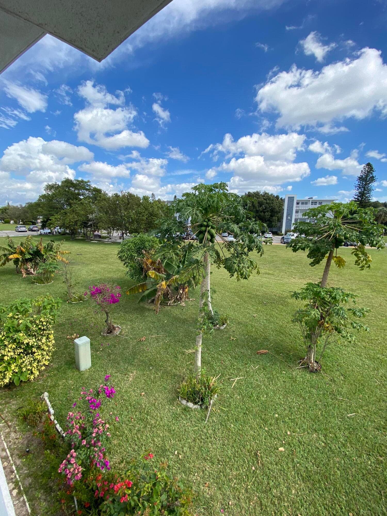 72 Newport D 72, Deerfield Beach, FL 33442 — photo 48 of 65