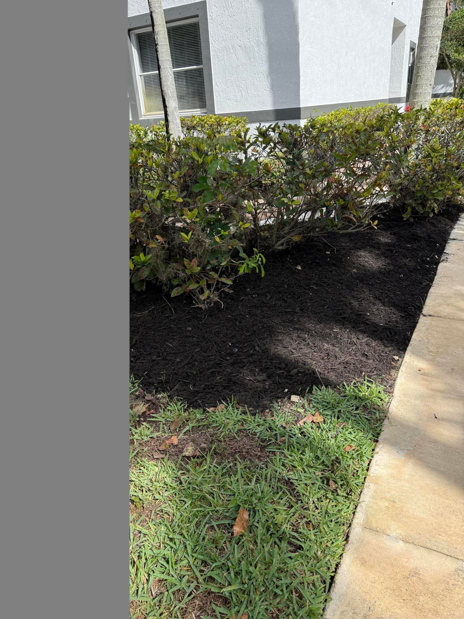 9831 NW 24th Street, Sunrise, FL 33322 — photo 8 of 57