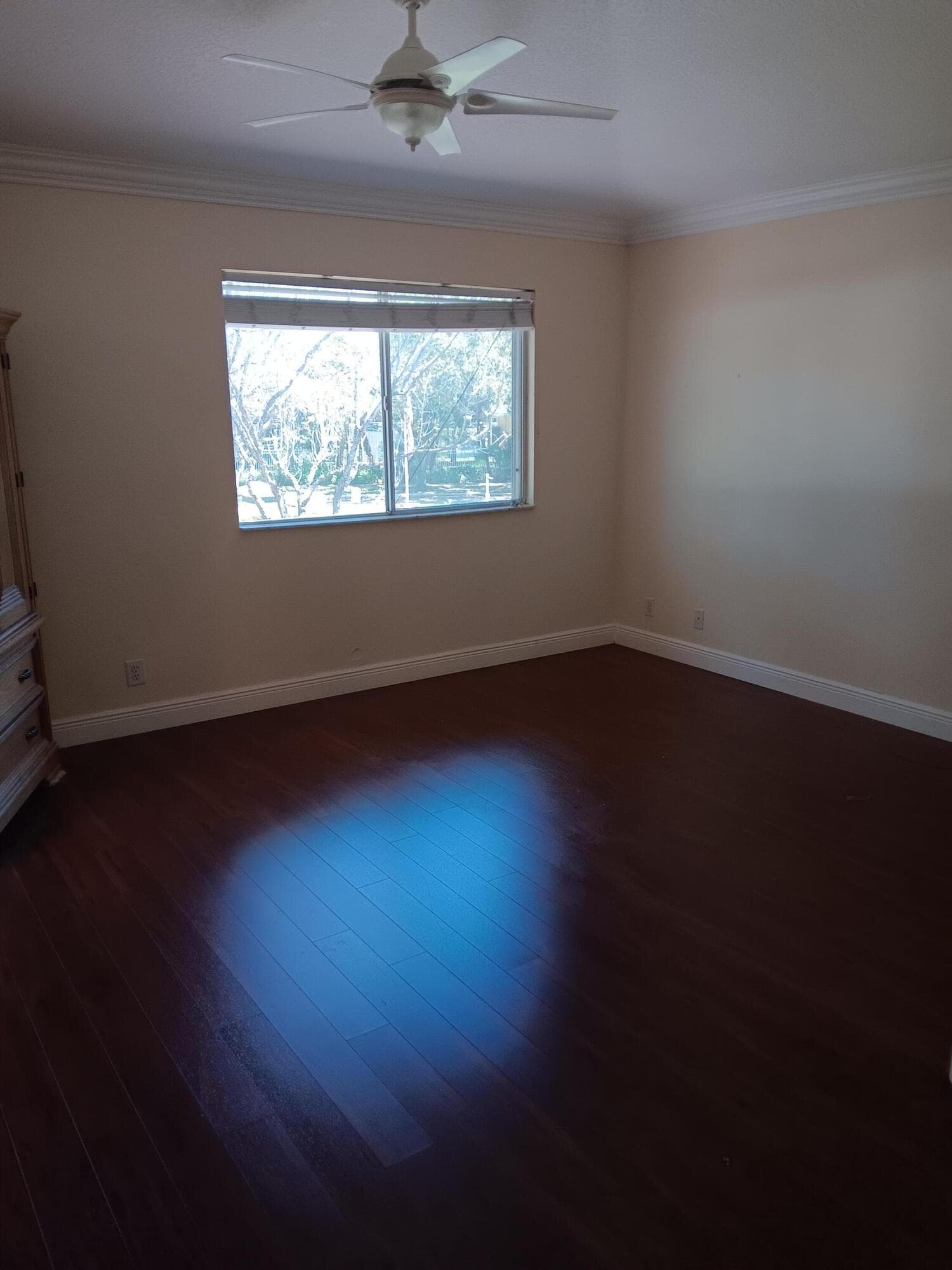 4983 W Pinemore Lane 4983, Lake Worth, FL 33463 — photo 7 of 18