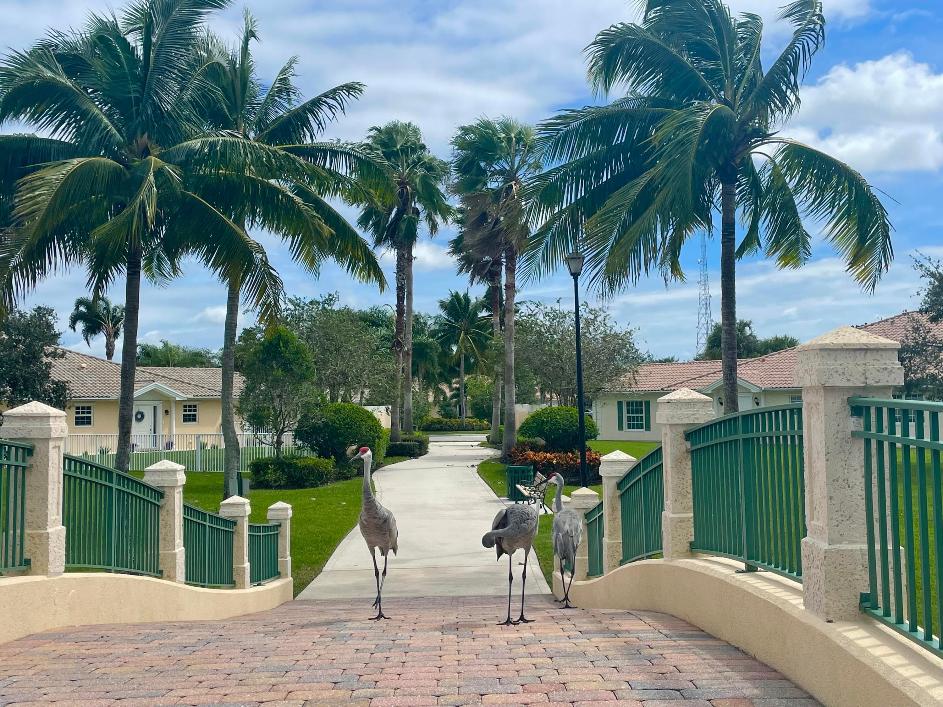 8262 Dominica Place, Wellington, FL 33414 — photo 44 of 45