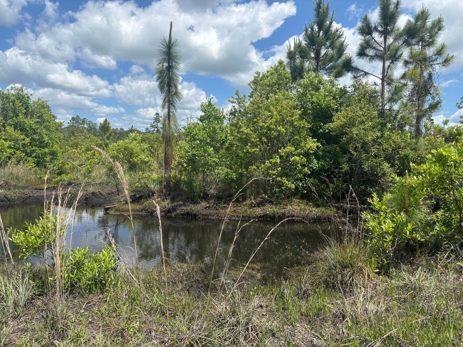 0 Holopaw Groves Road, St. Cloud, FL 34772 — photo 2 of 3