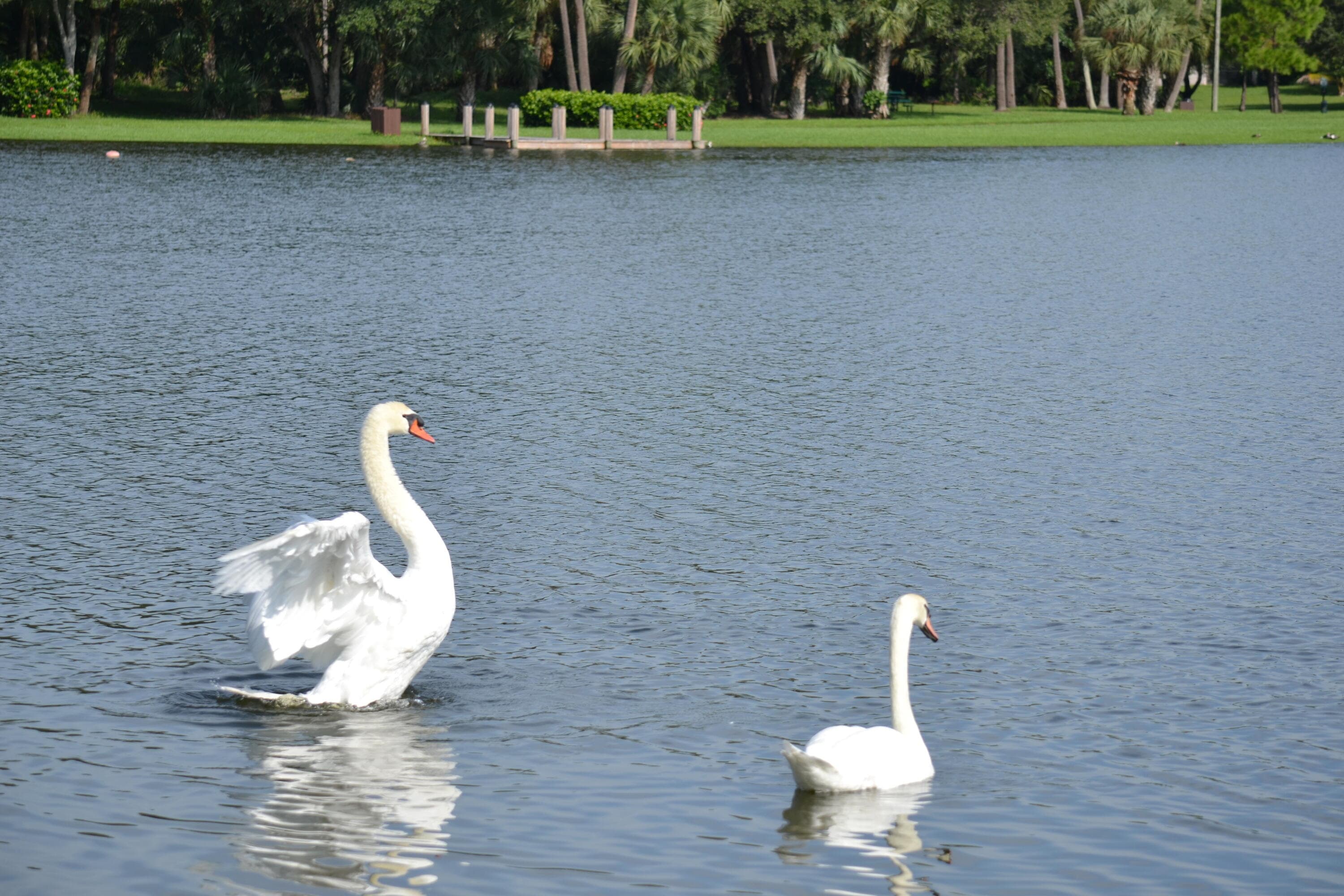3129 Millwood Terrace 1380, Boca Raton, FL 33431 — photo 28 of 41