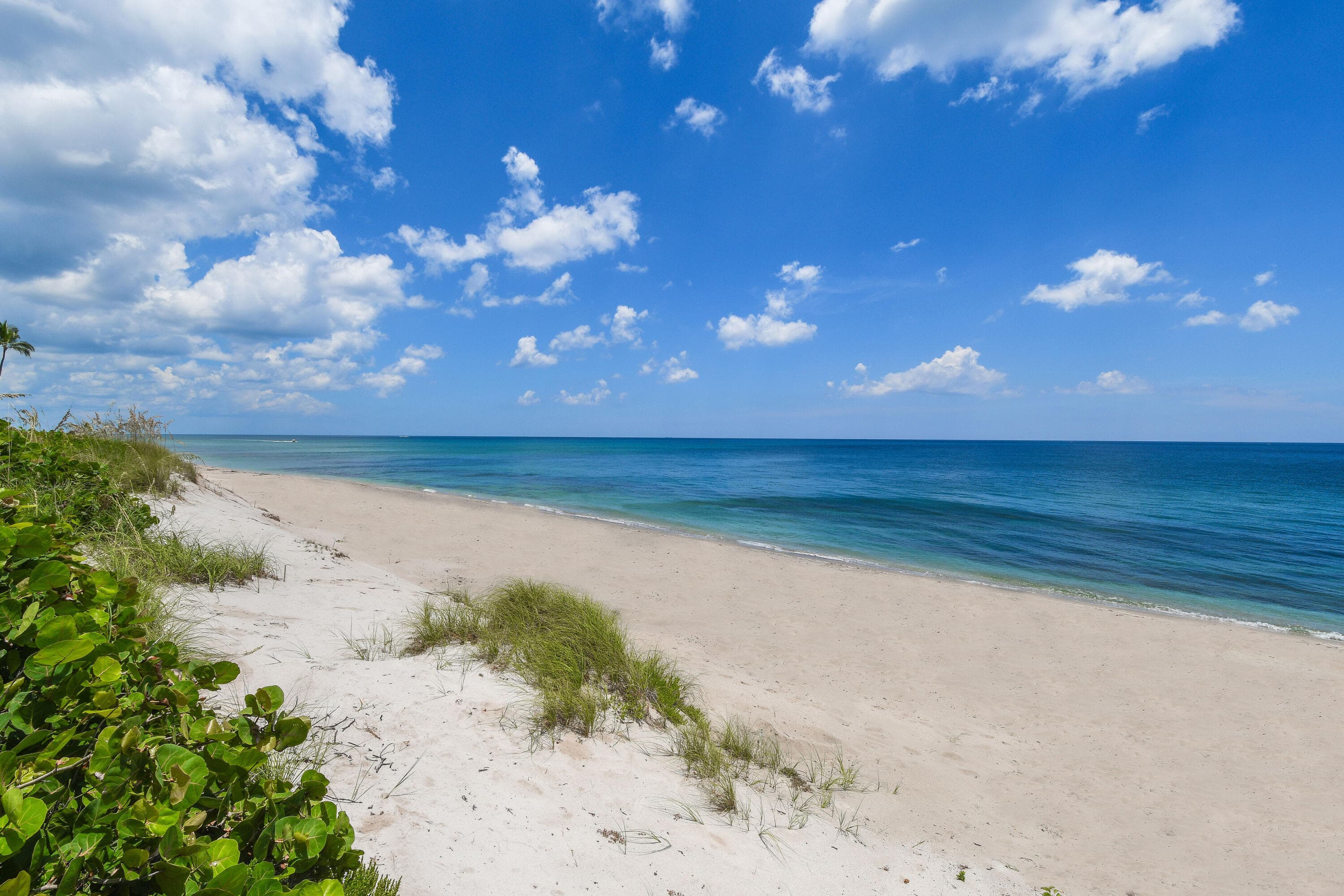 200 Intracoastal Place 404, Jupiter, FL 33469 — photo 43 of 95