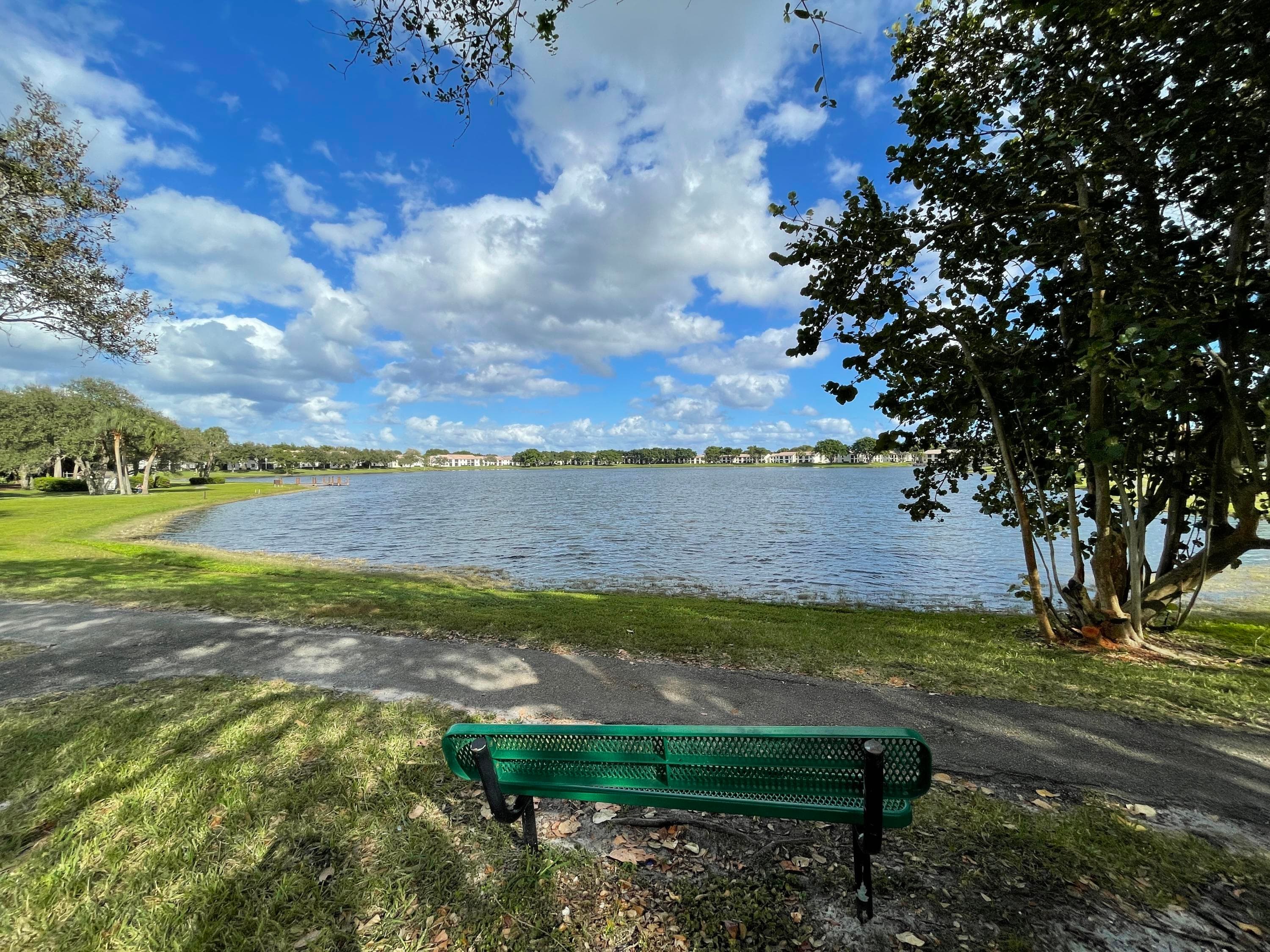 432 Ashwood Place, Boca Raton, FL 33431 — photo 59 of 61