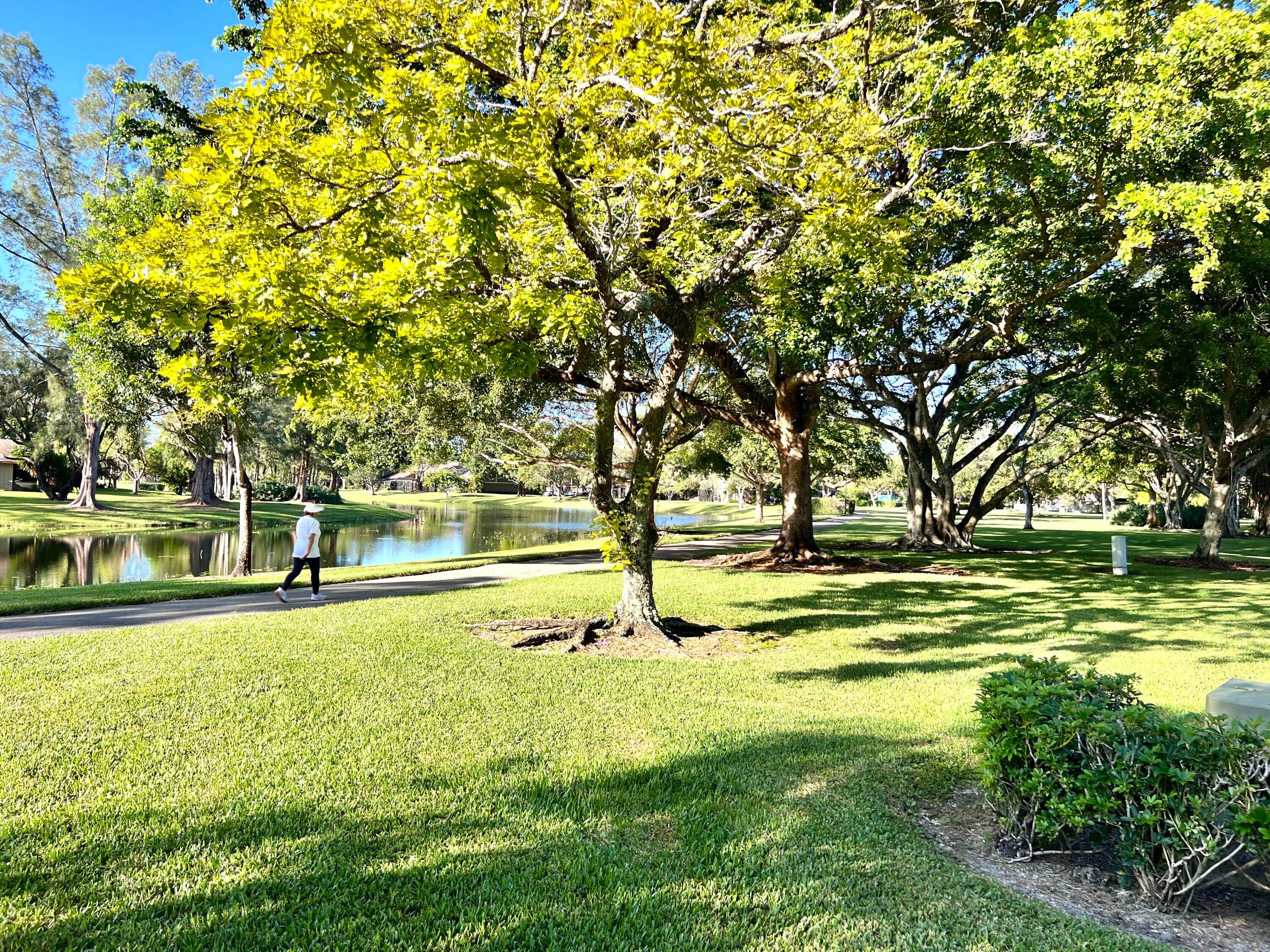 22303 Misty Woods Way, Boca Raton, FL 33428 — photo 3 of 25