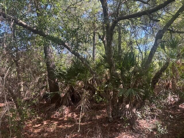 0 Golden Shores Blvd, Mims, FL 32754 — photo 4 of 6