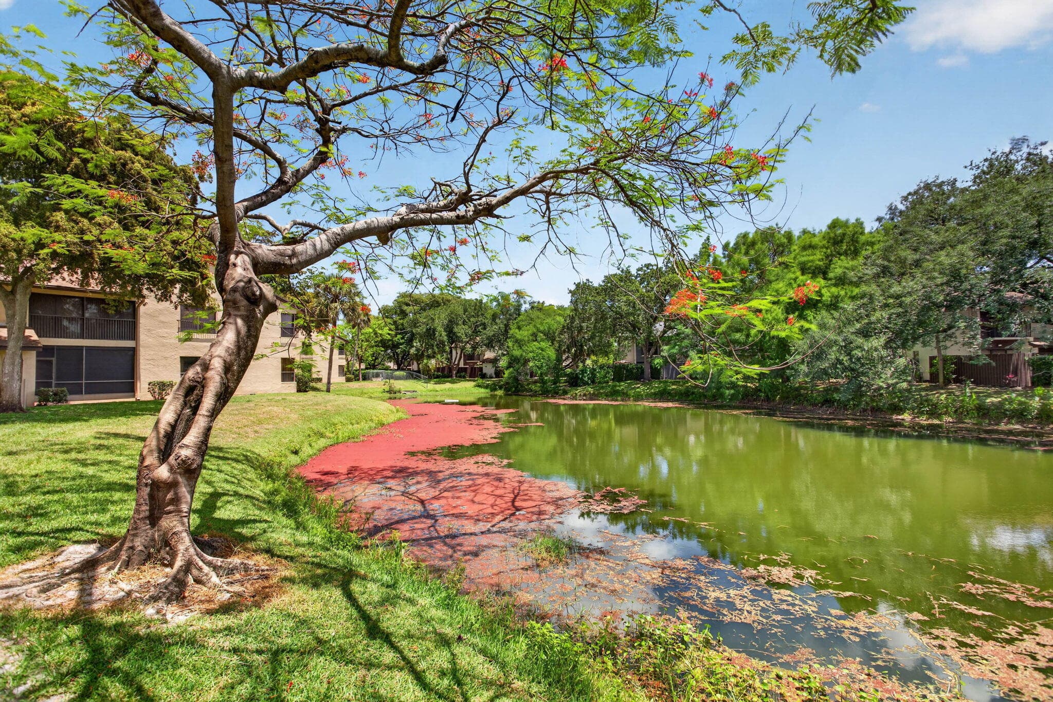 3713 Cocoplum Circle 3545, Coconut Creek, FL 33063 — photo 4 of 33
