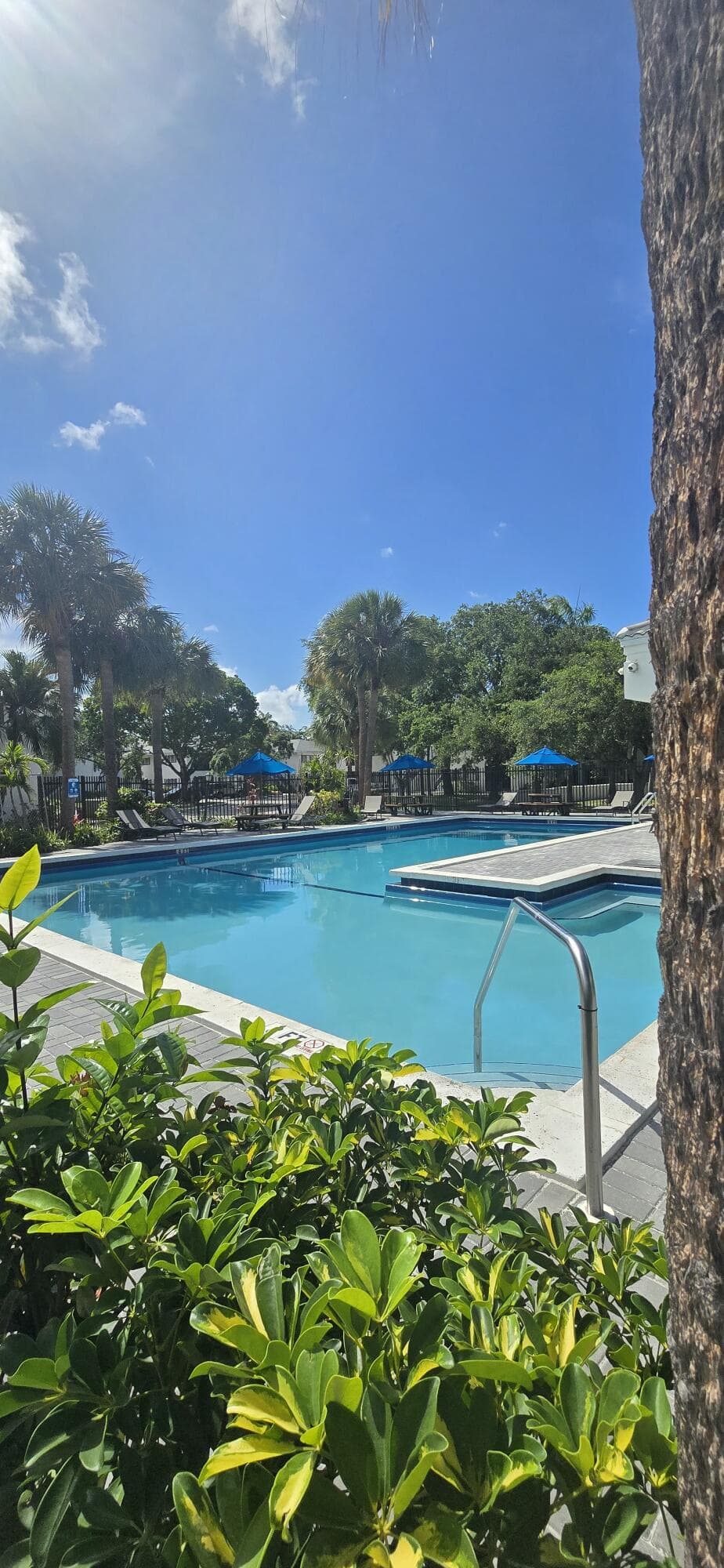 2445 SW 18th Terrace 902, Fort Lauderdale, FL 33315 — photo 18 of 18