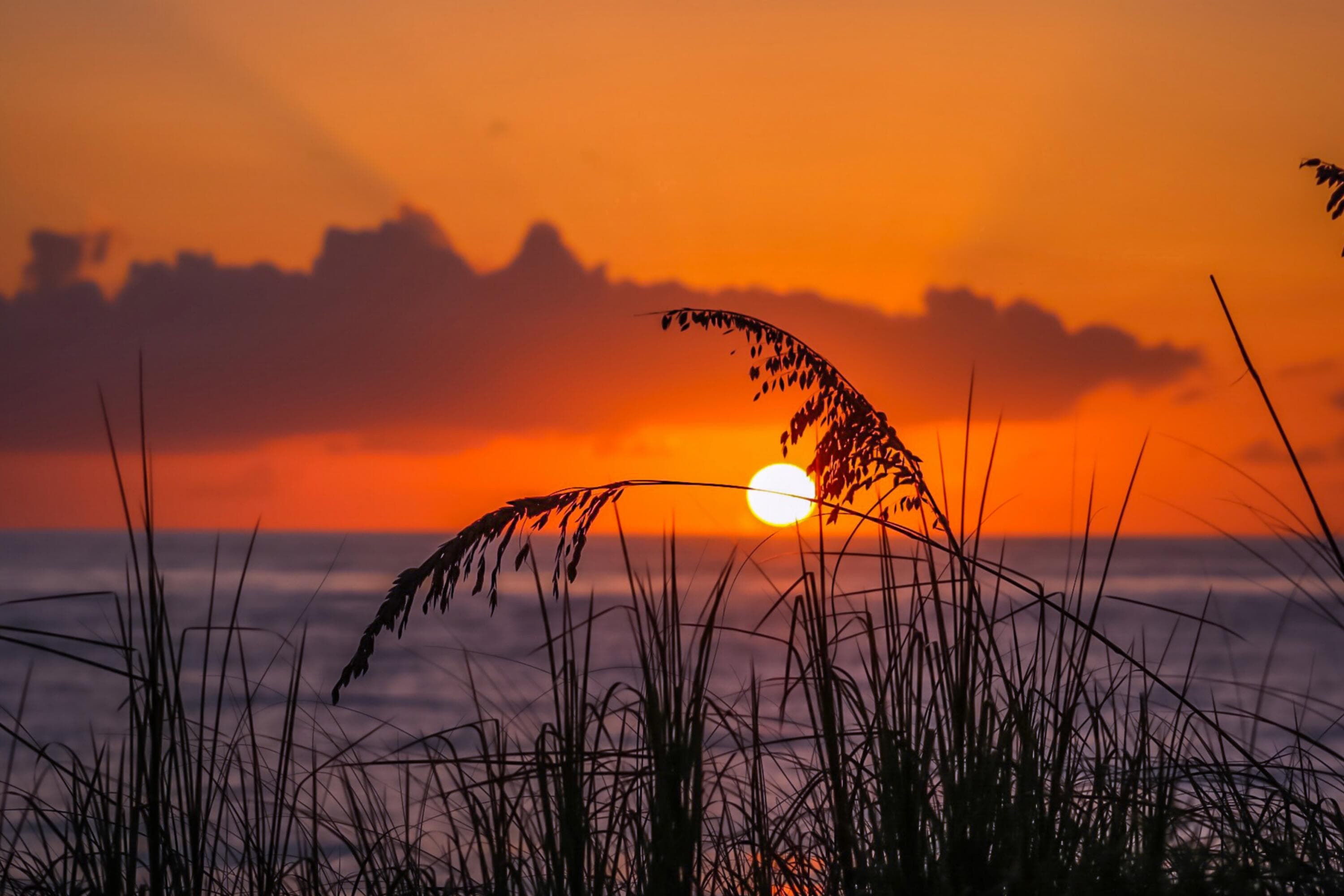 29 Plantation Drive 202, Vero Beach, FL 32966 — photo 54 of 56