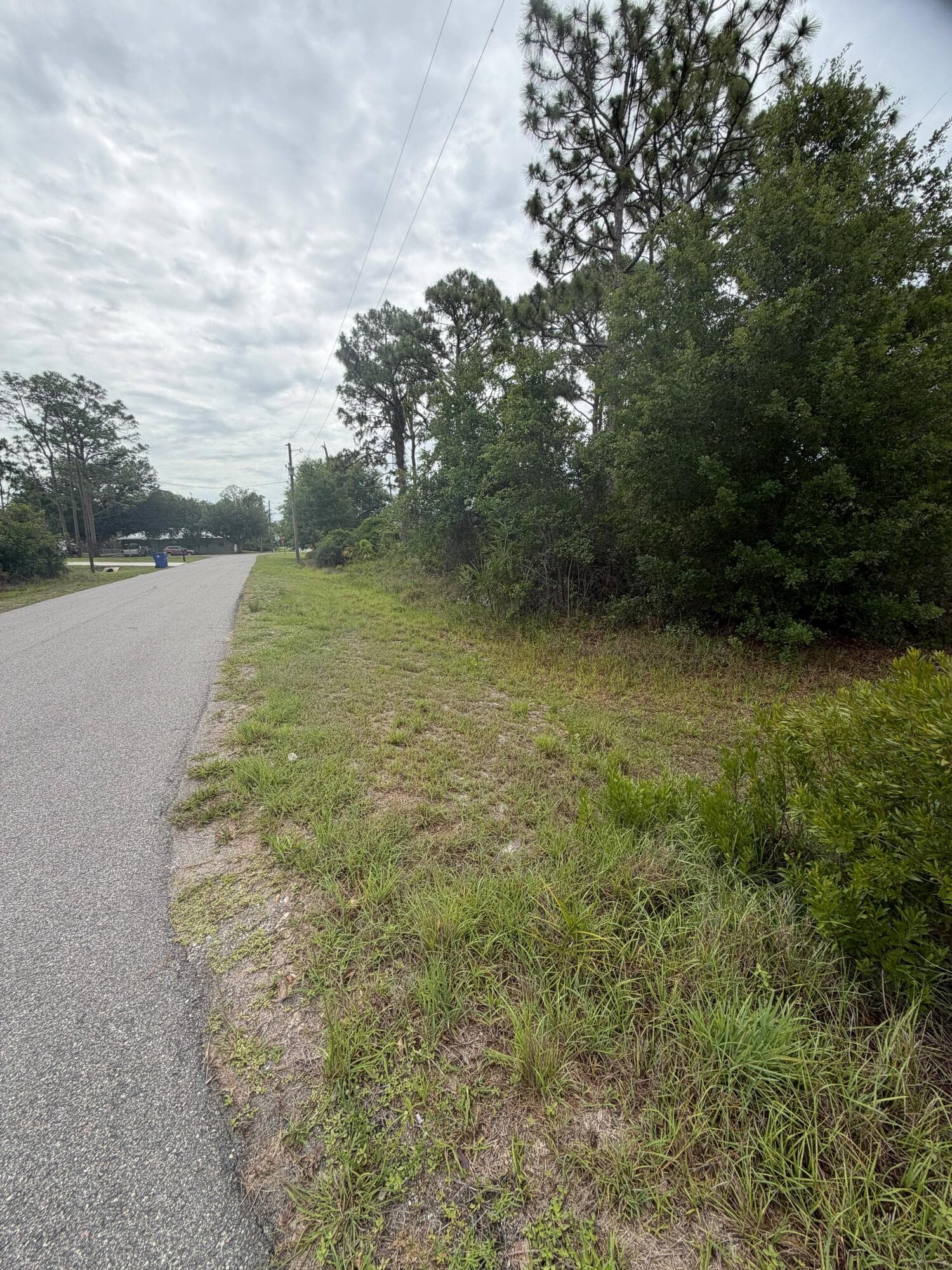 1170 Kingfisher Avenue NW, Lake Placid, FL 33852 — photo 3 of 8